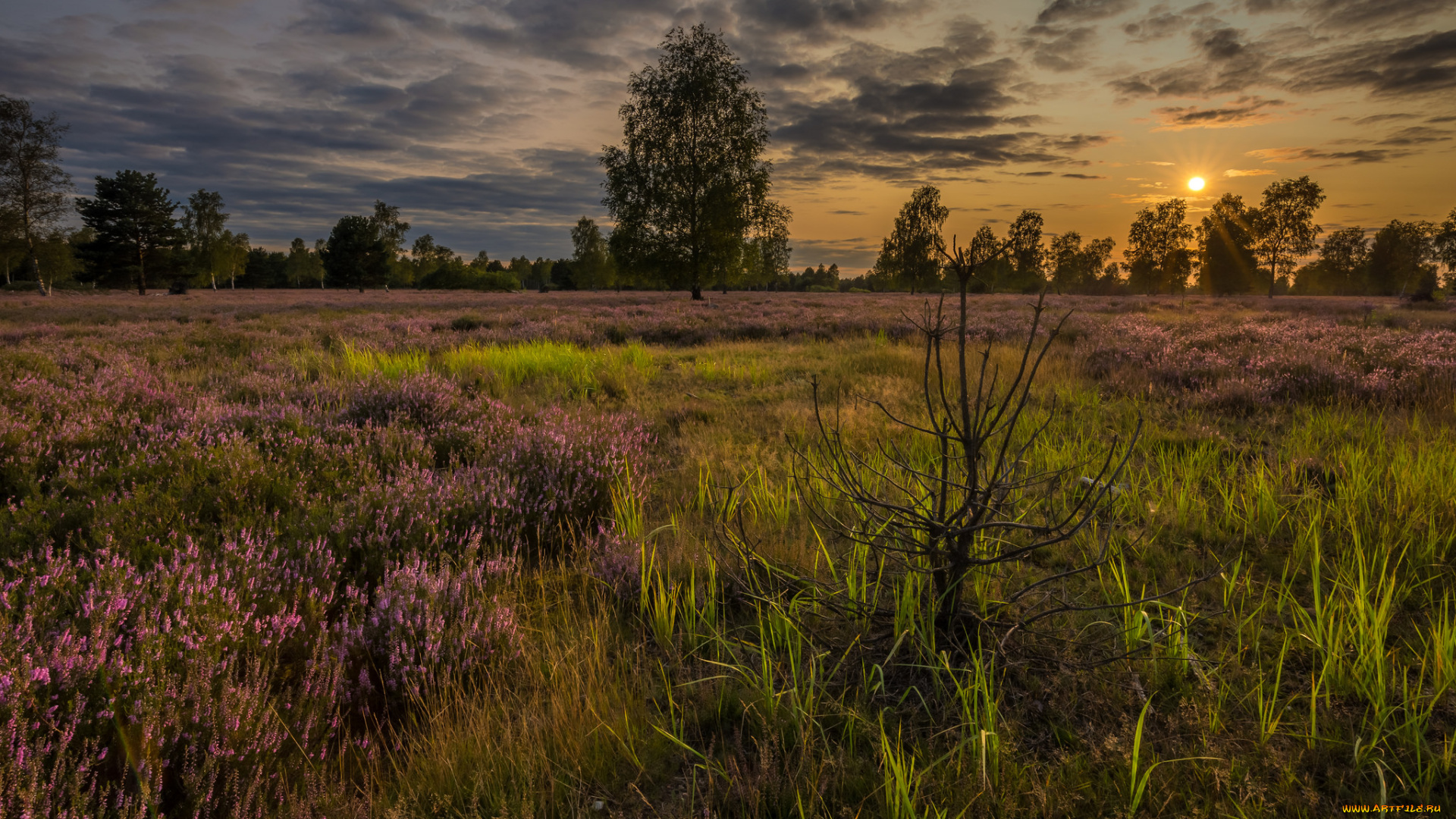 природа, пейзажи, простор