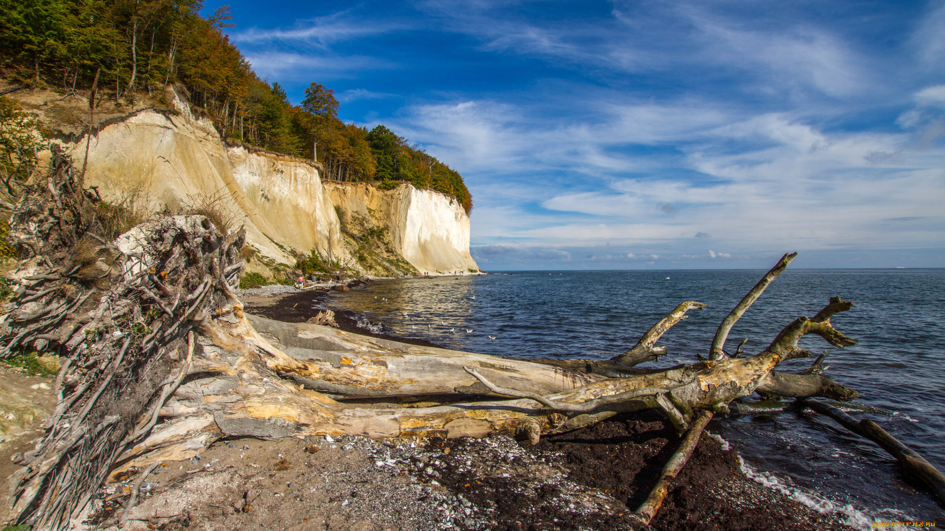 природа, побережье, простор