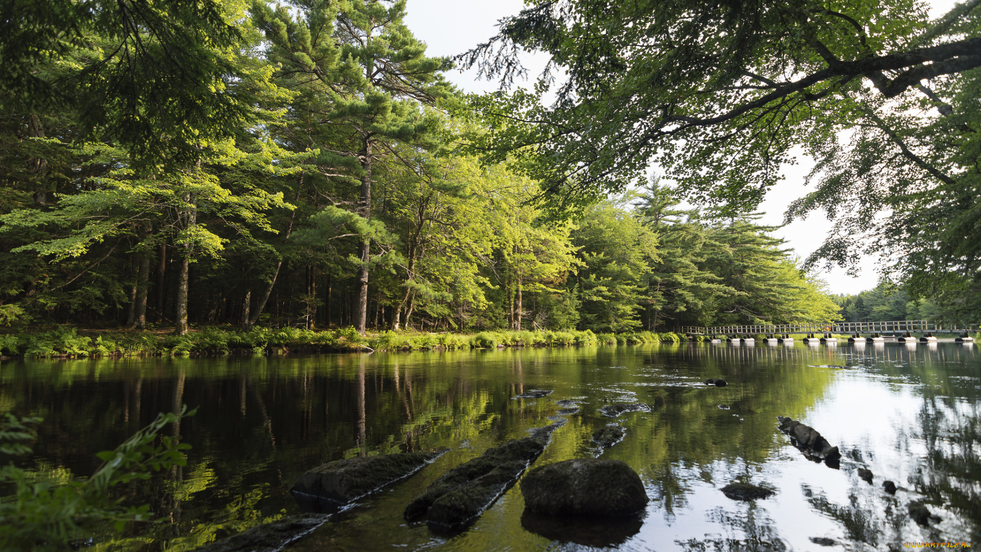 природа, реки, озера, простор