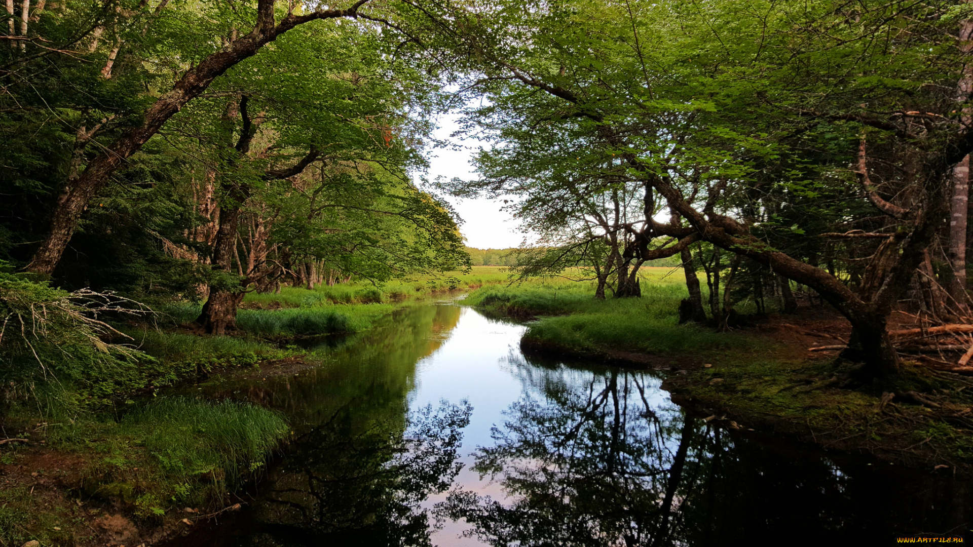 природа, реки, озера, простор