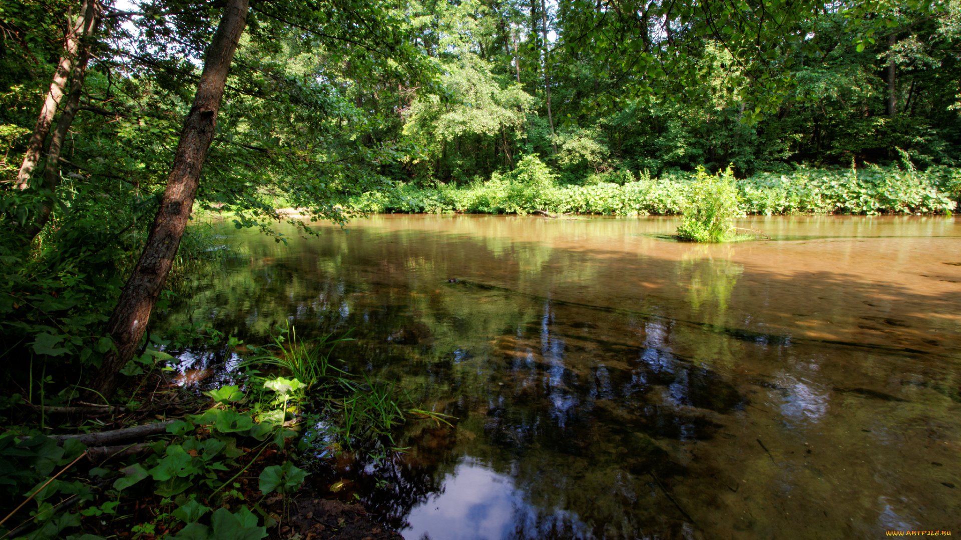 природа, реки, озера, простор