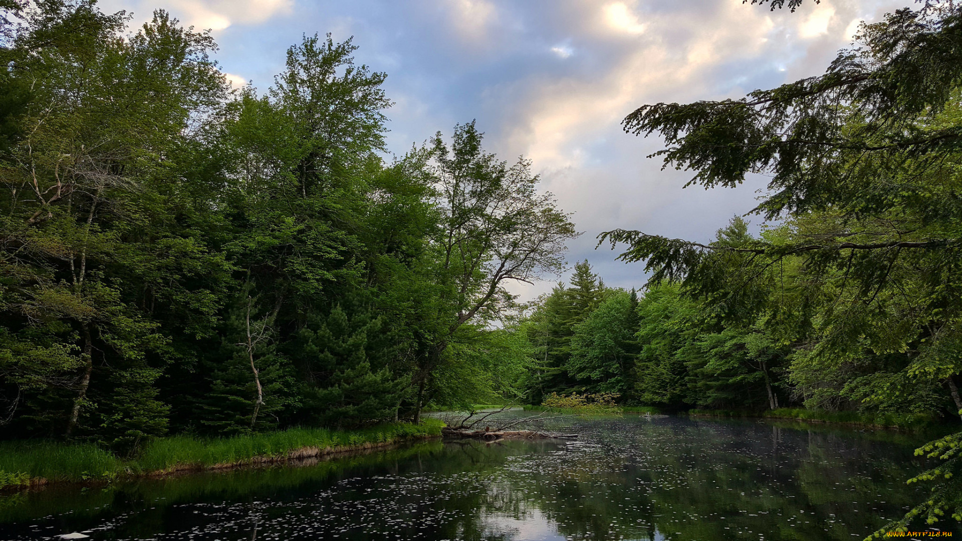 природа, реки, озера, простор