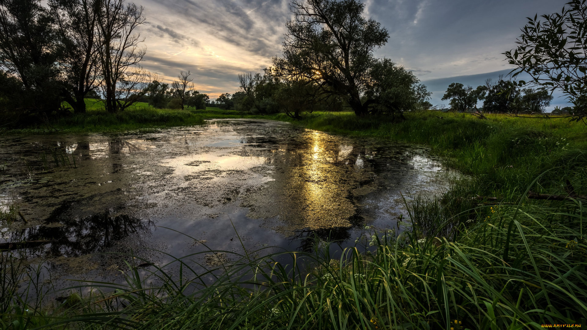 природа, реки, озера, простор