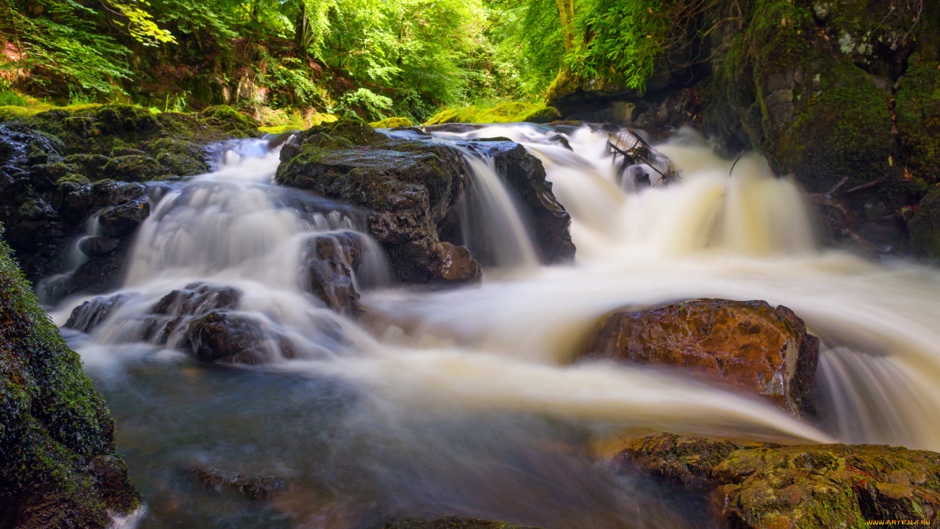 природа, реки, озера, простор
