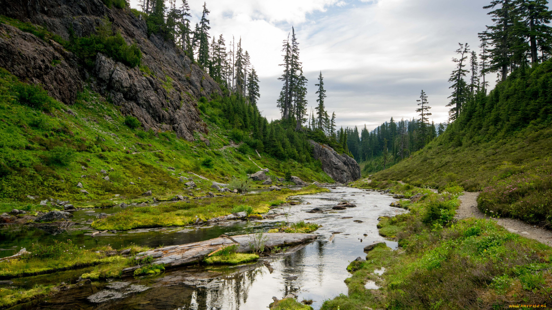 природа, реки, озера, простор