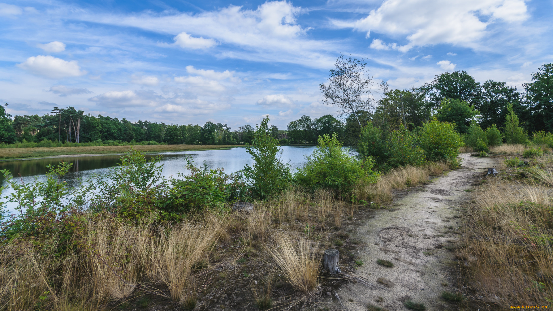 природа, реки, озера, простор