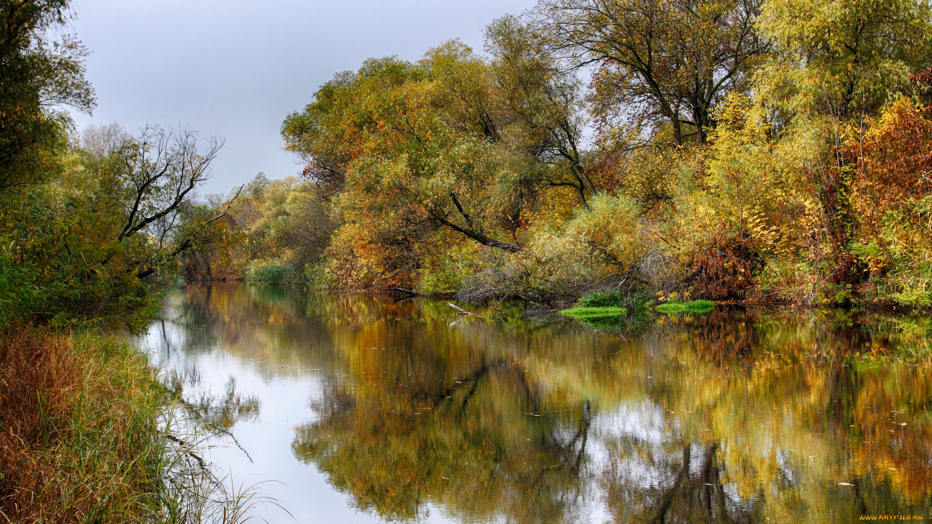 природа, реки, озера, простор