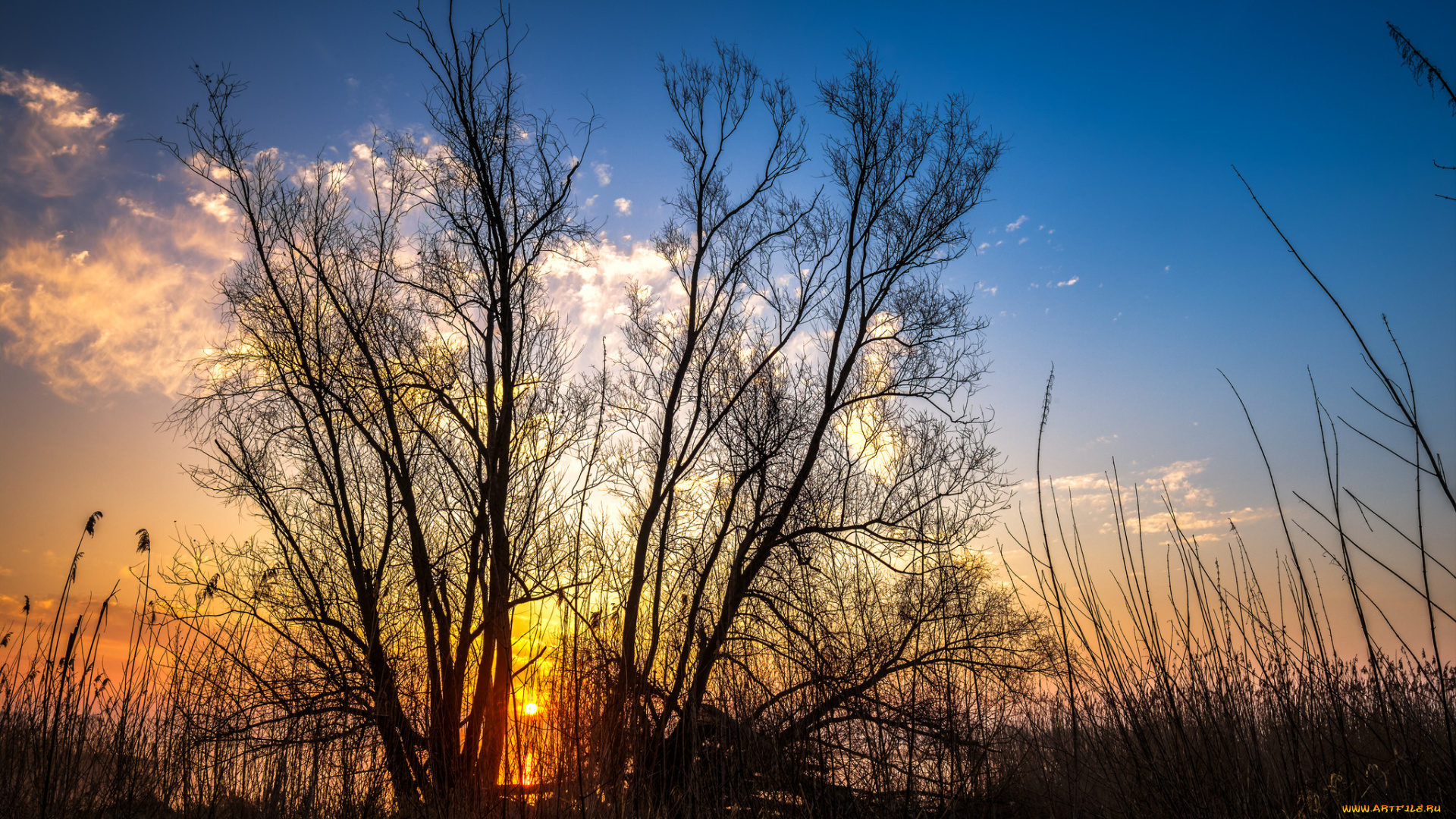 природа, восходы, закаты, простор