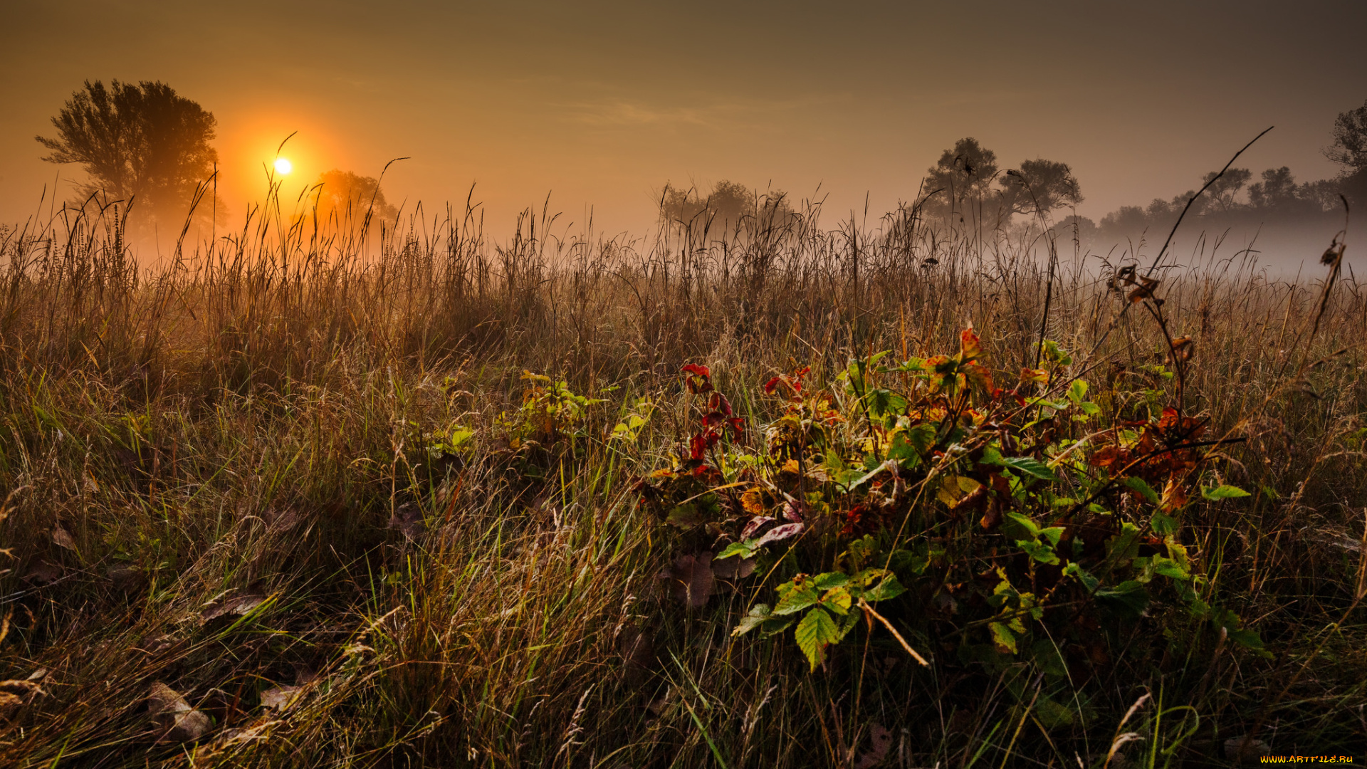 природа, восходы, закаты, простор