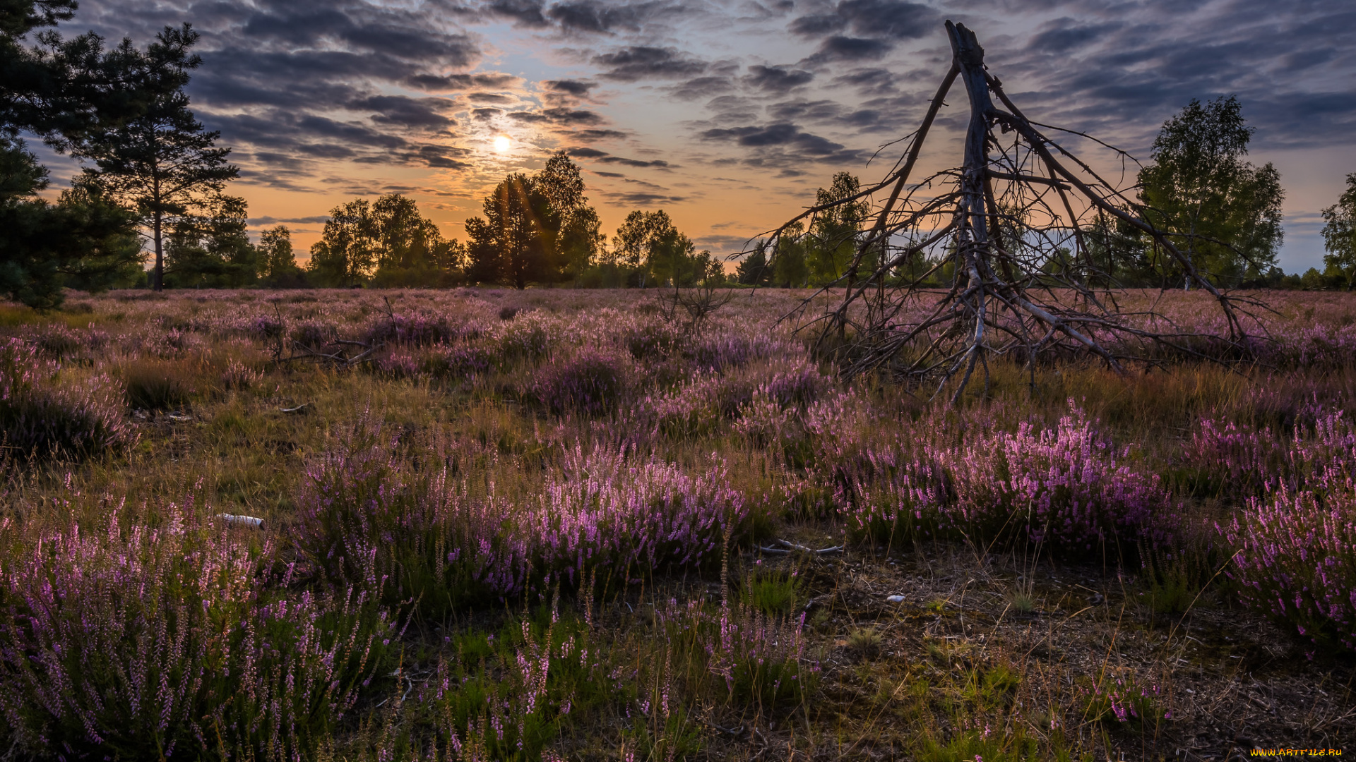 природа, восходы, закаты, простор