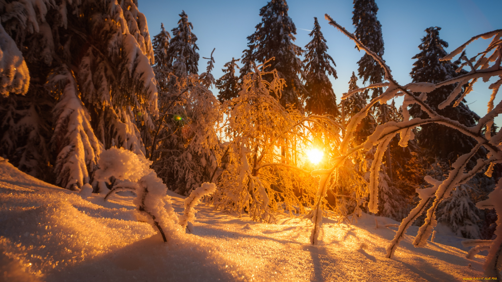 природа, зима, простор