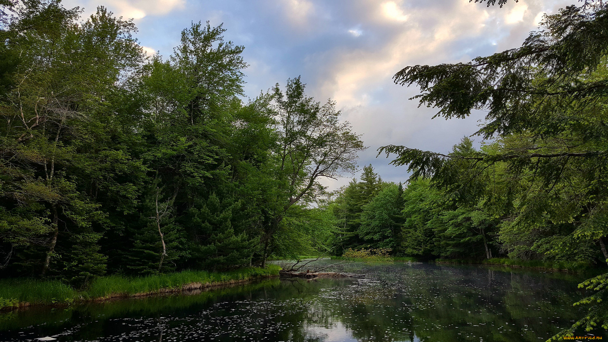 природа, реки, озера, простор