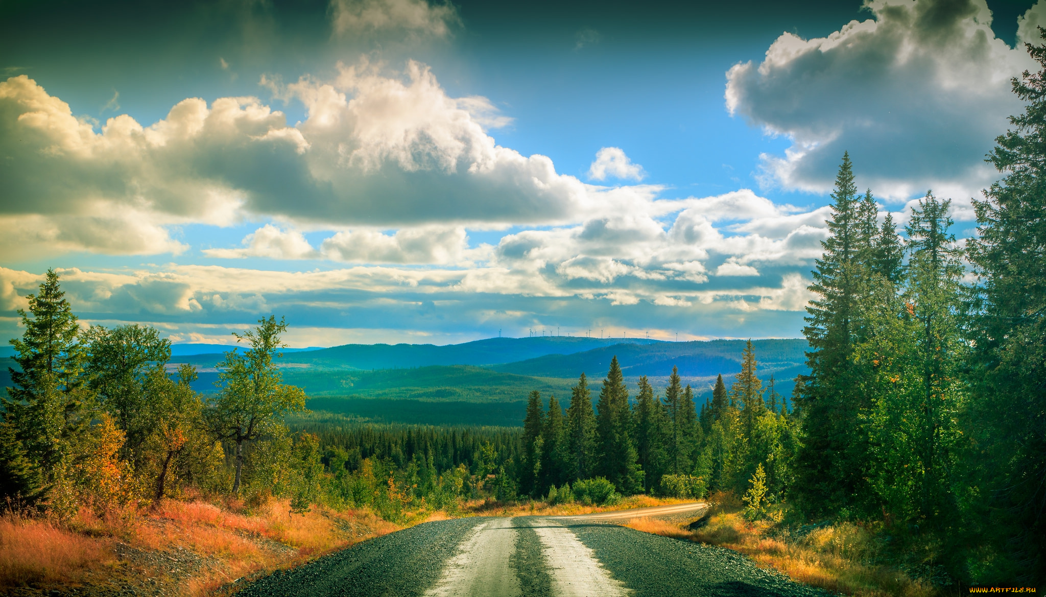 природа, дороги, простор