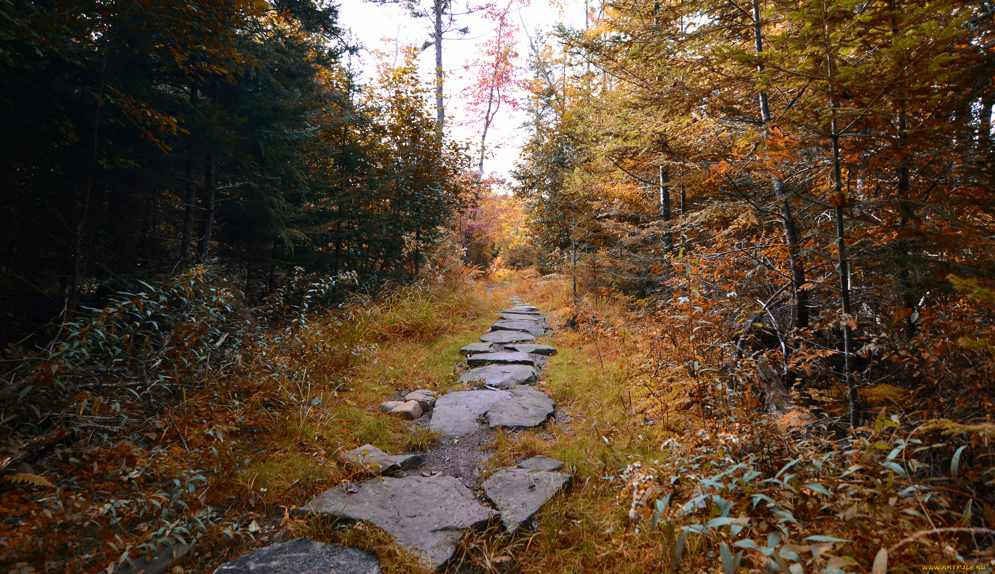 природа, дороги, простор