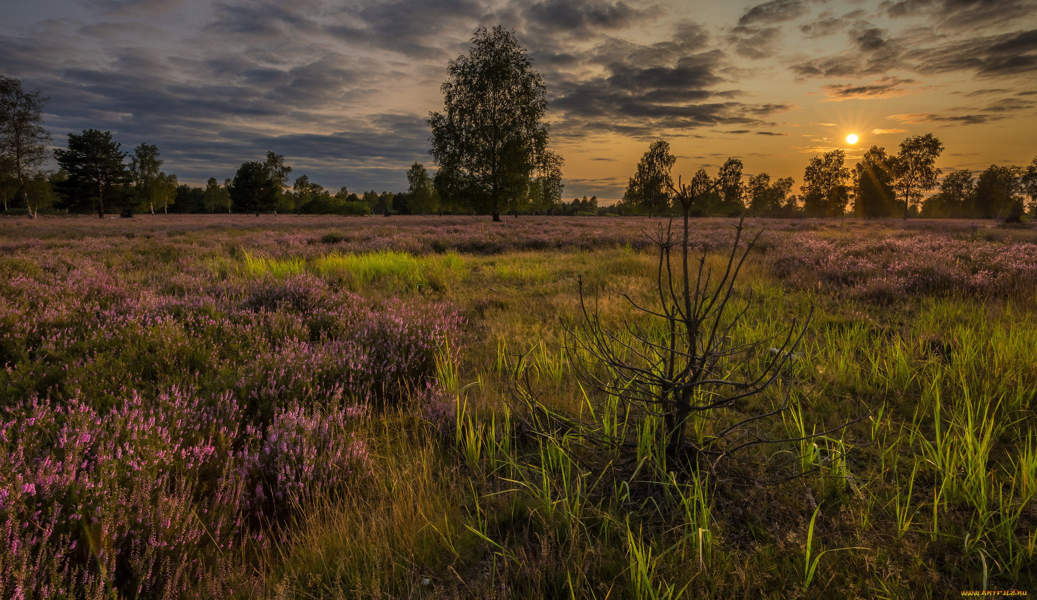 природа, пейзажи, простор