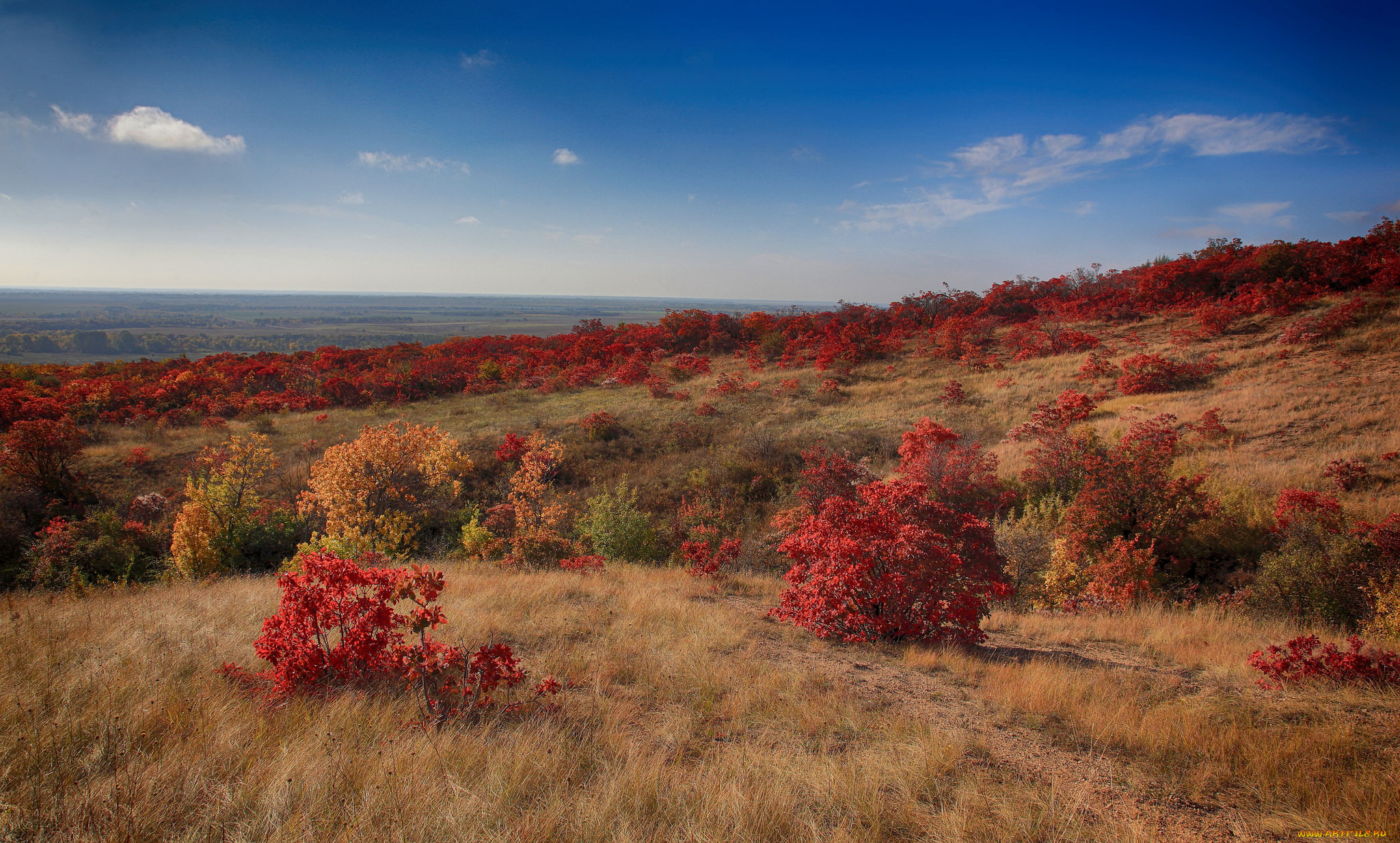 природа, пейзажи, простор