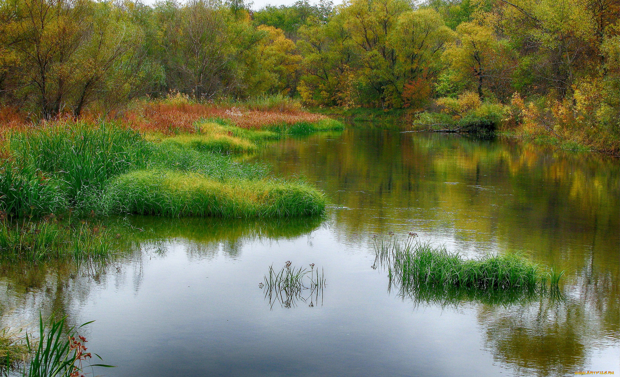 природа, реки, озера, простор