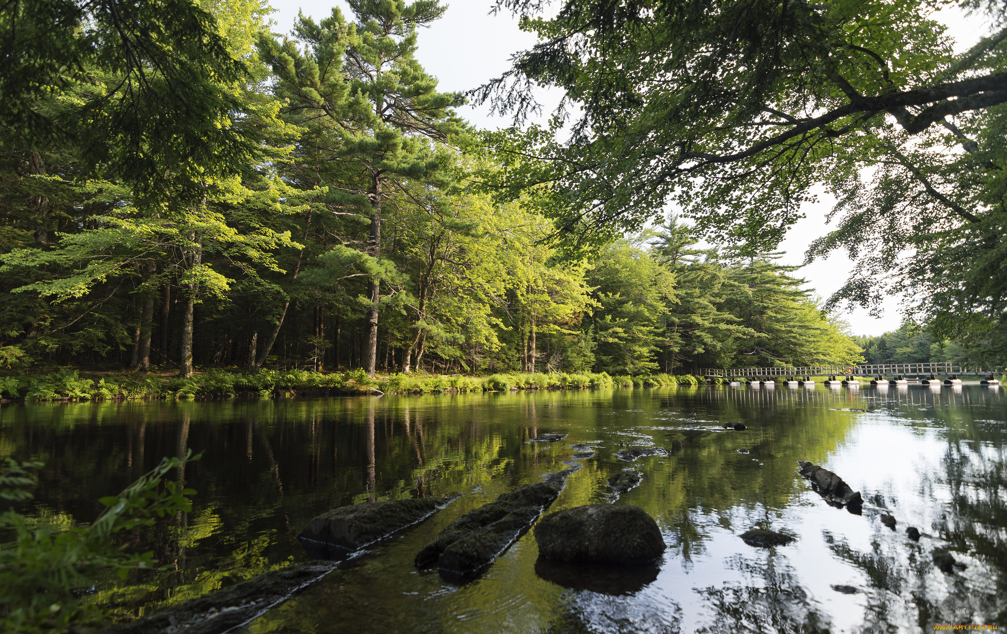 природа, реки, озера, простор