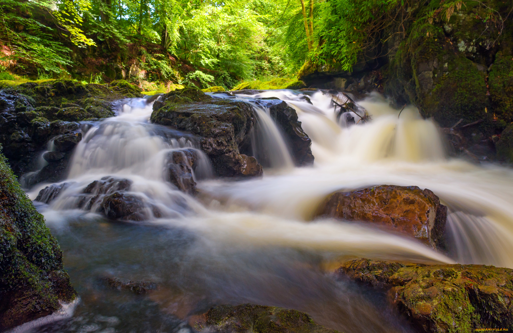 природа, реки, озера, простор