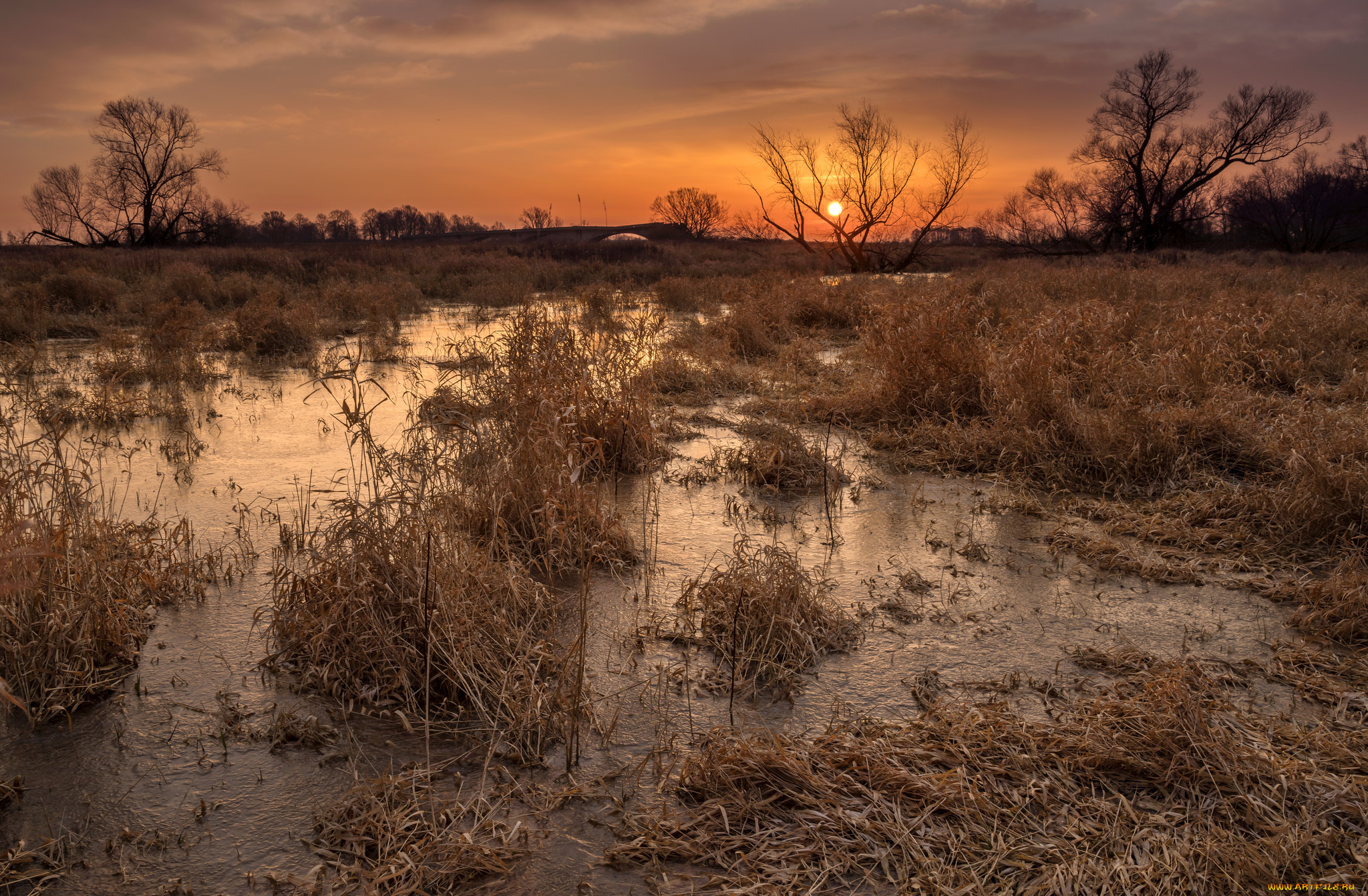 природа, реки, озера, простор