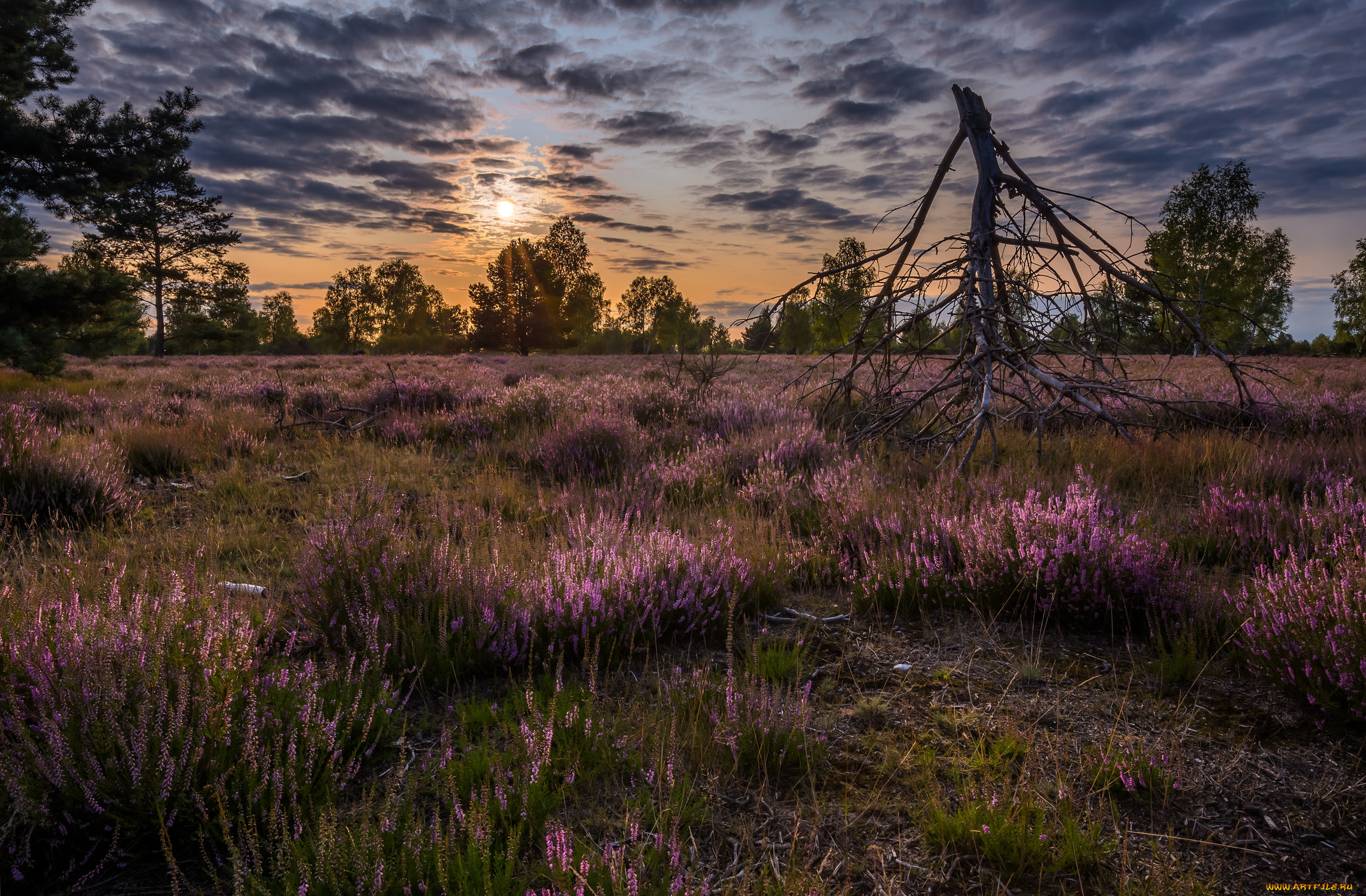 природа, восходы, закаты, простор