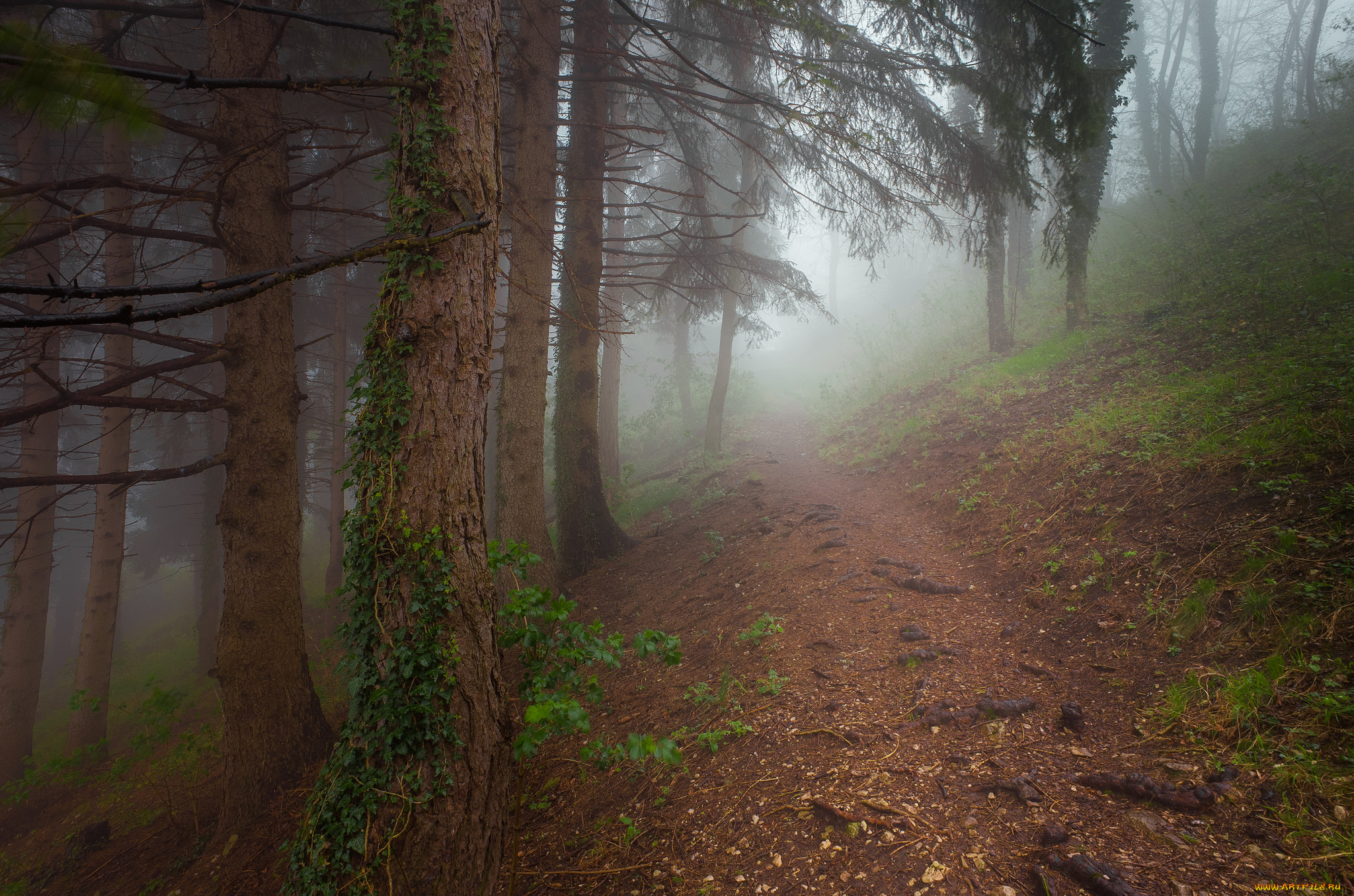 природа, дороги, простор