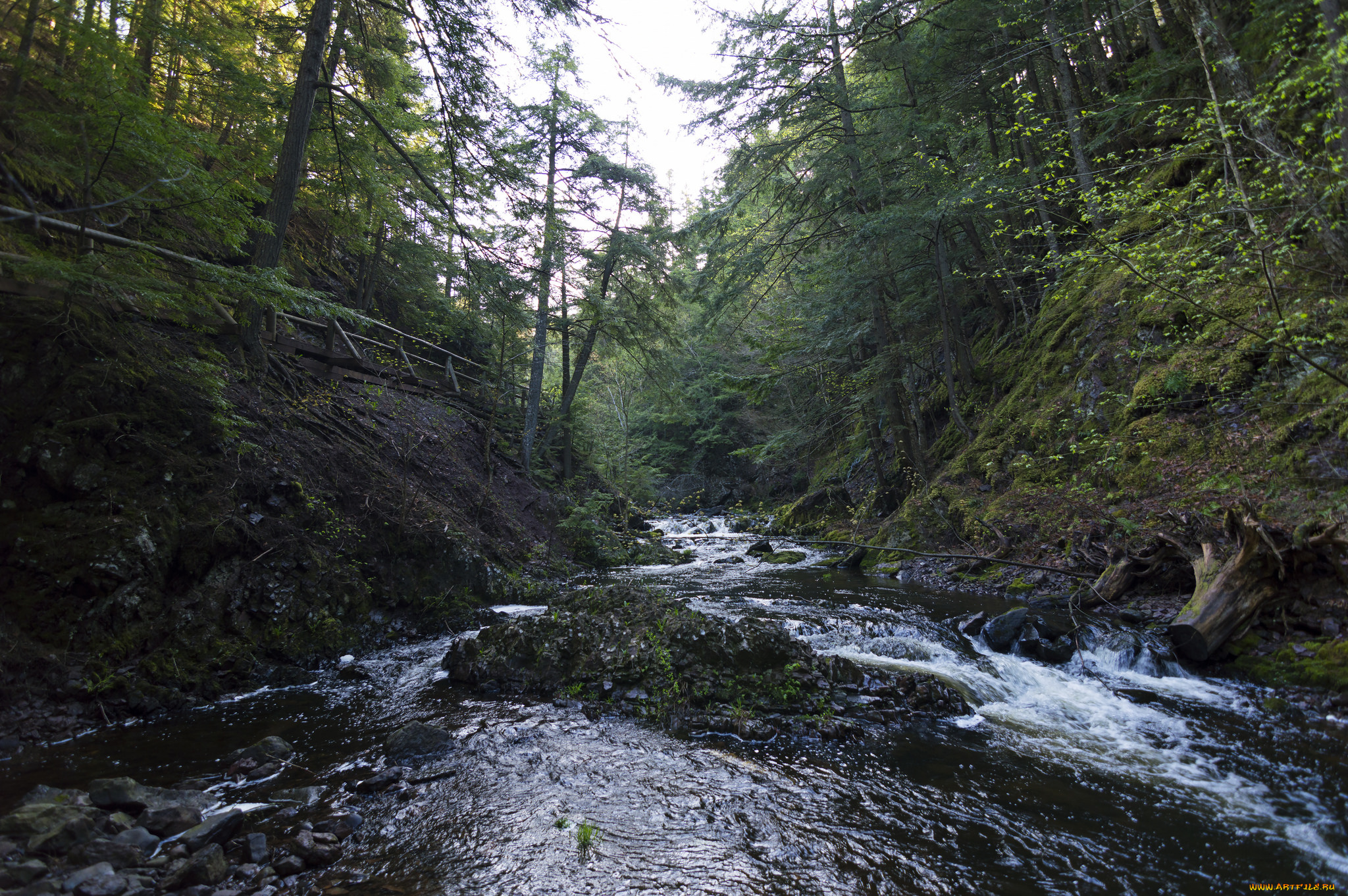 природа, реки, озера, простор