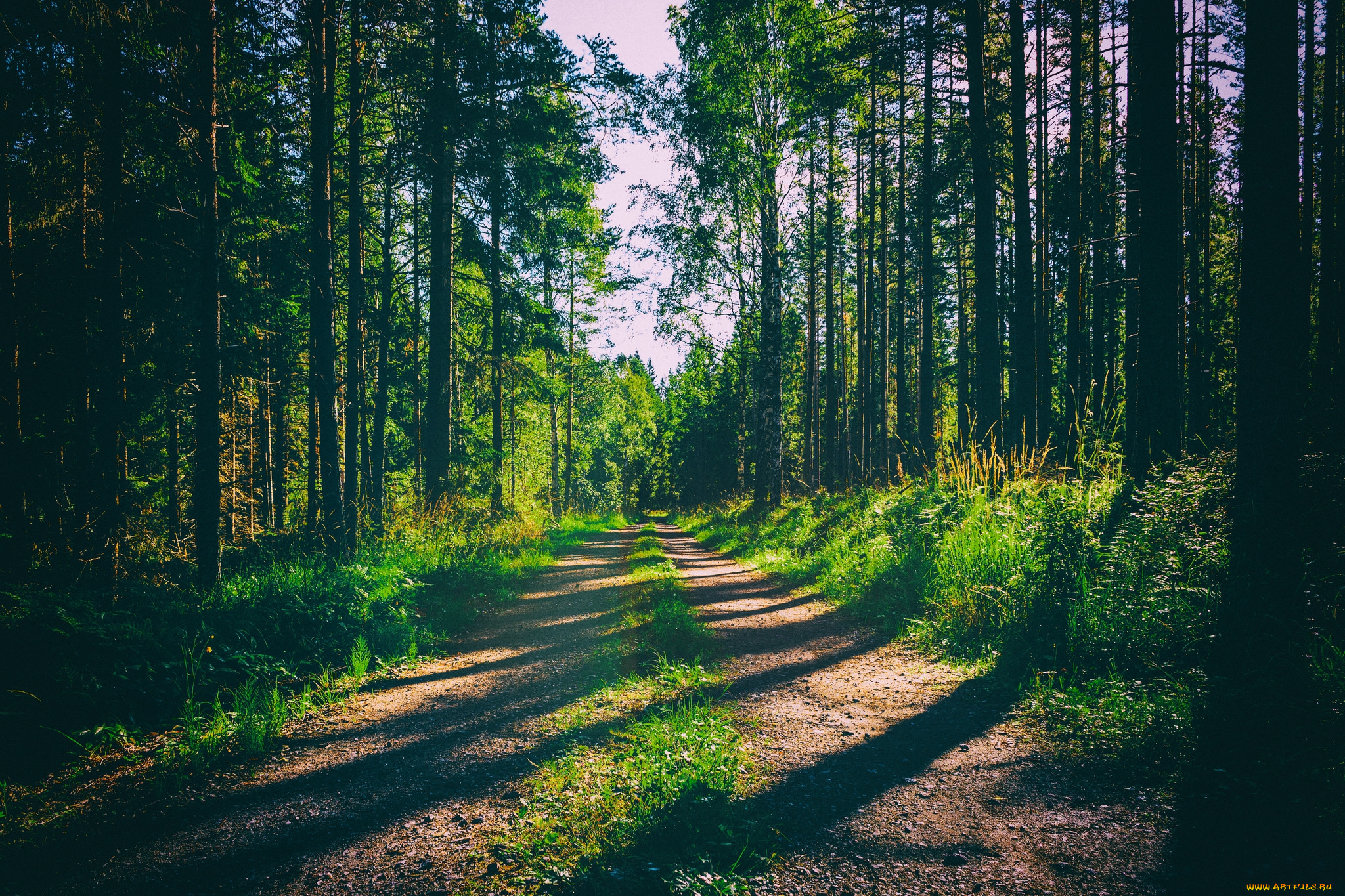 природа, дороги, простор