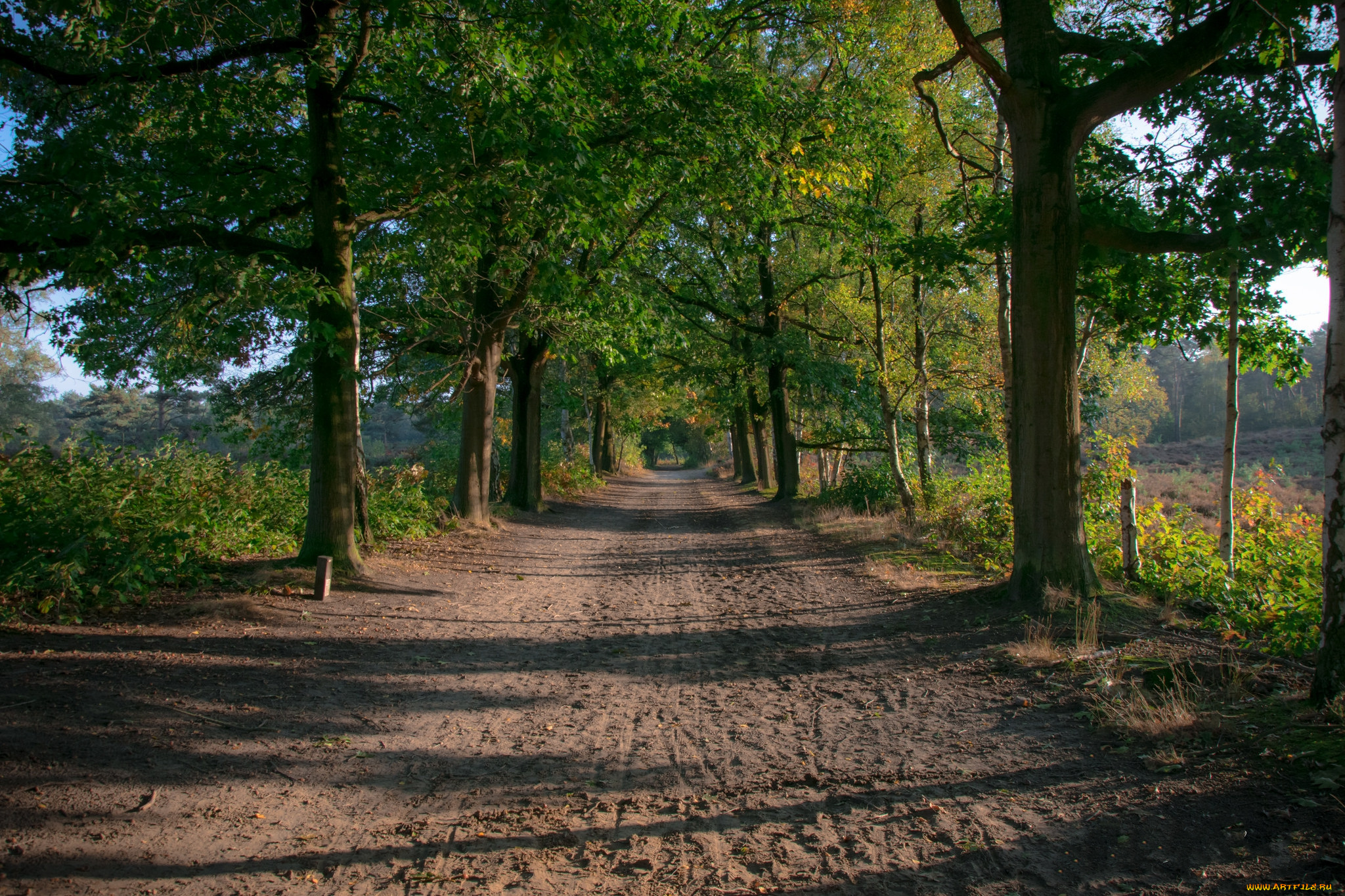 природа, дороги, простор