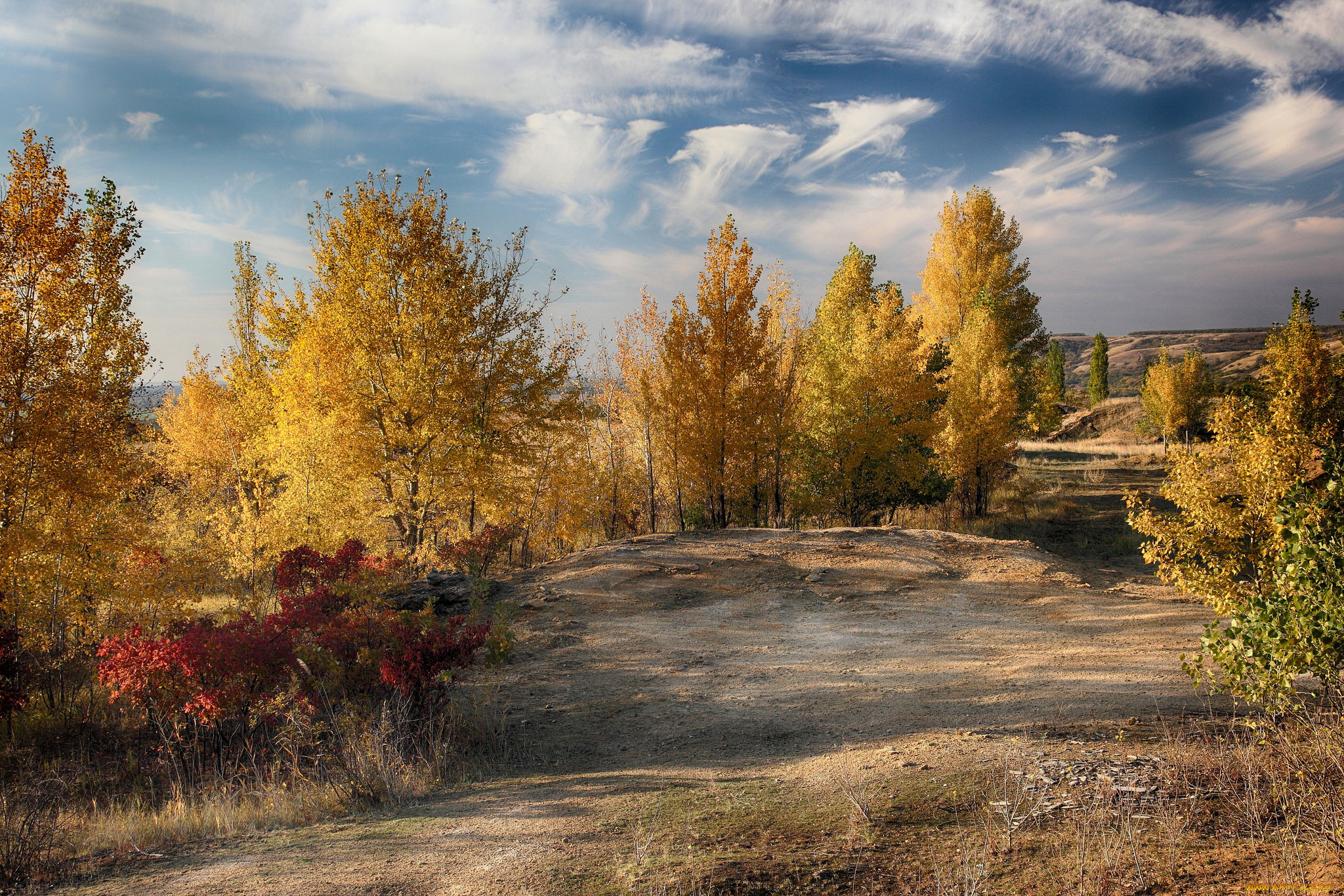 природа, дороги, простор