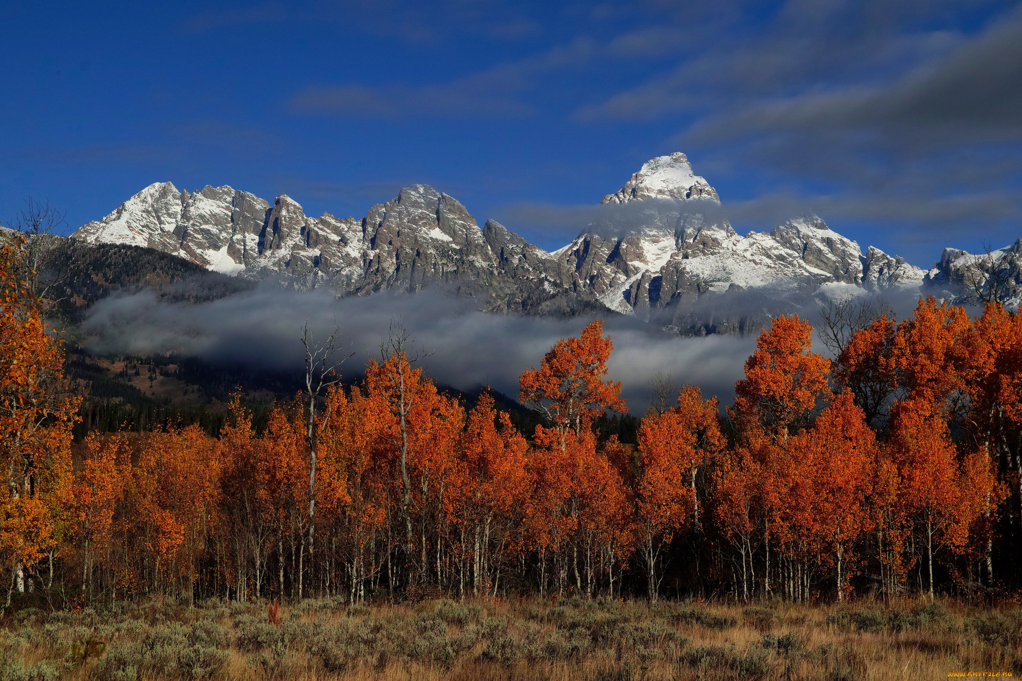 природа, горы, простор