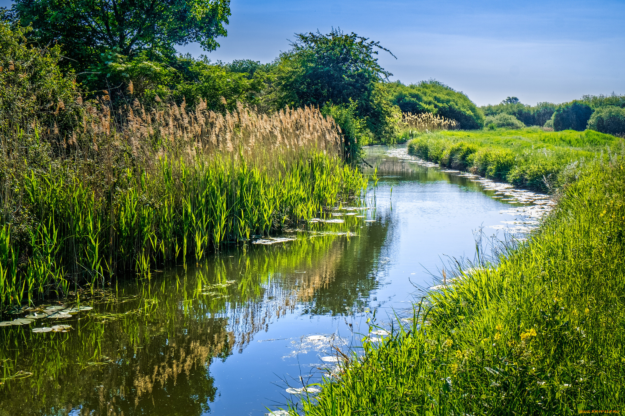 природа, реки, озера, простор