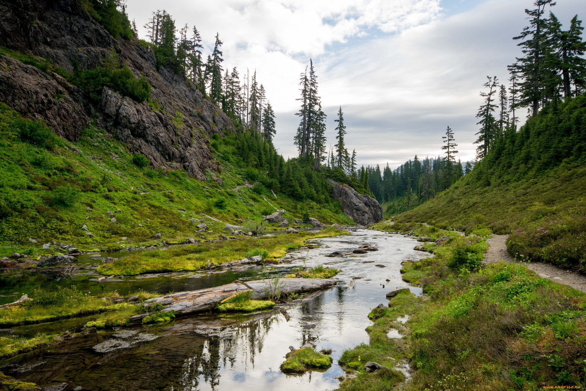 природа, реки, озера, простор