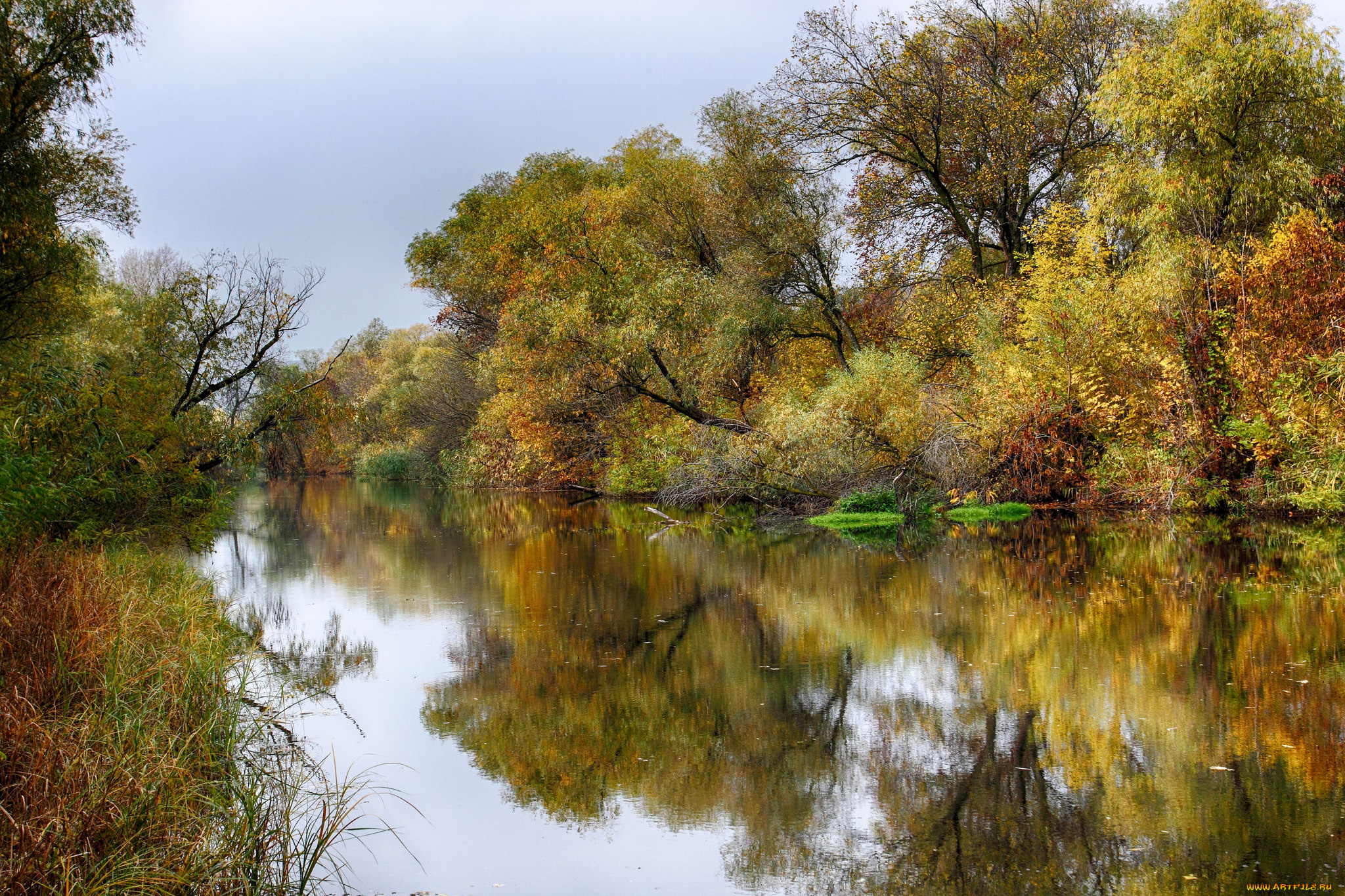 природа, реки, озера, простор