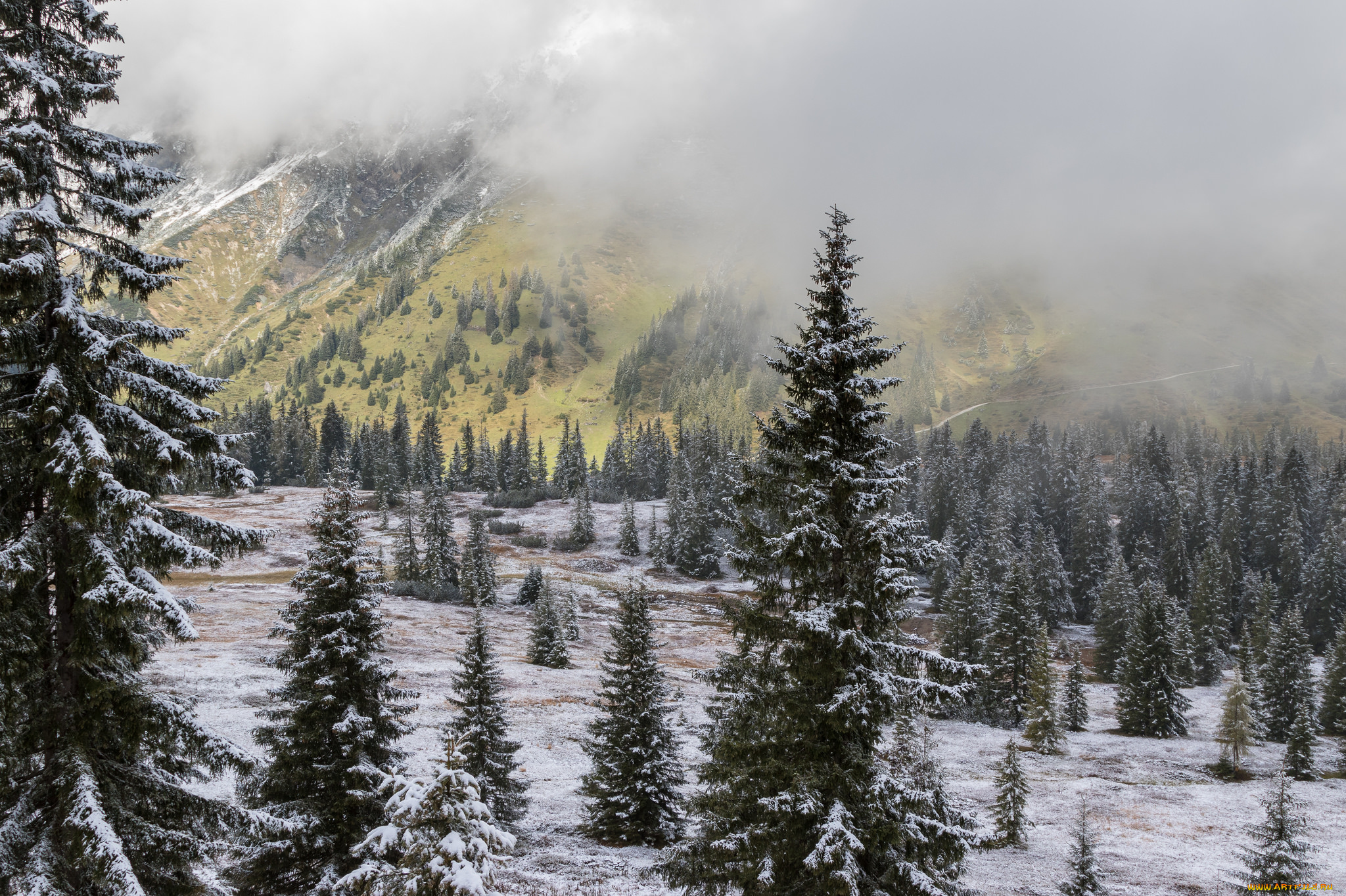 природа, зима, простор