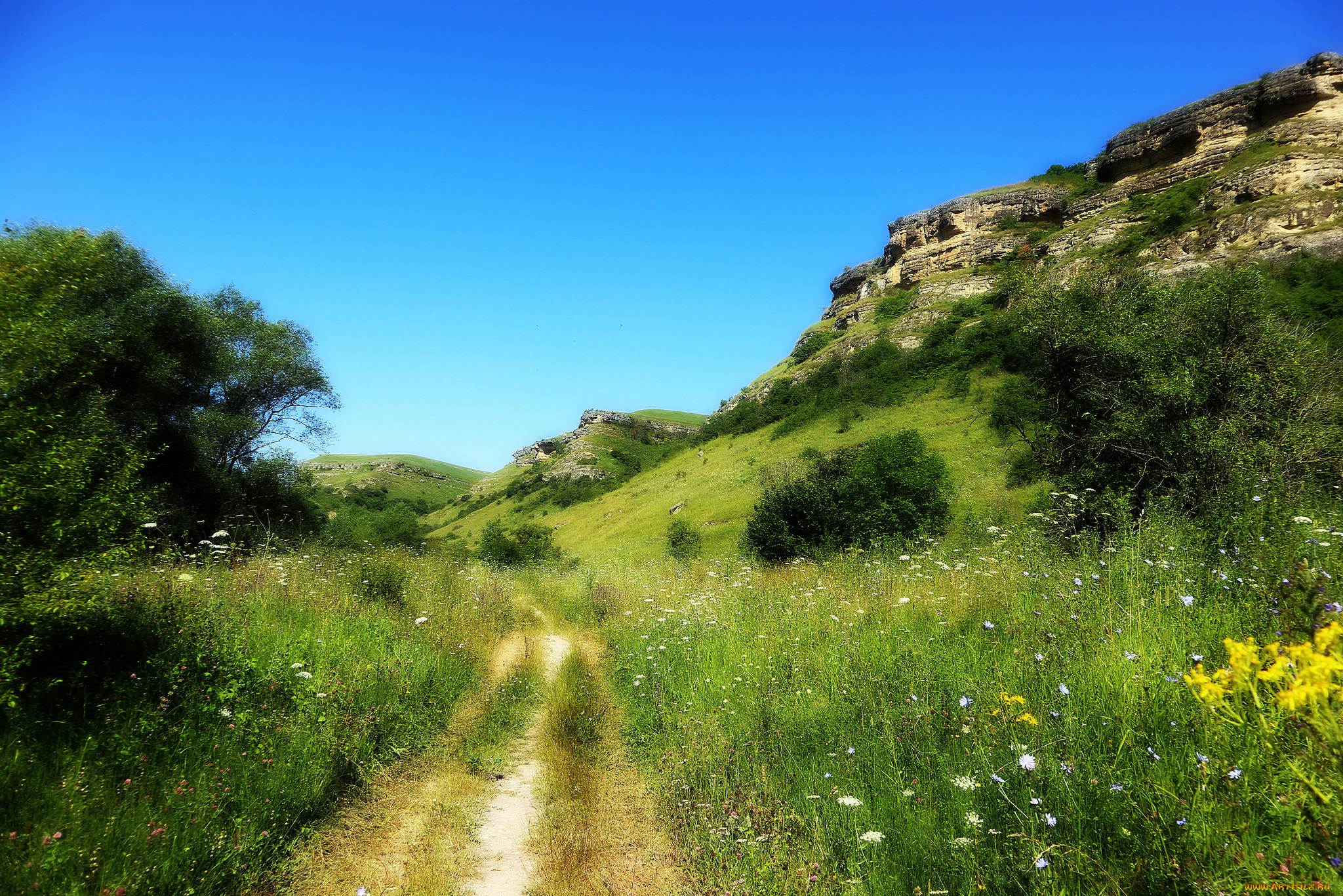 природа, дороги, простор