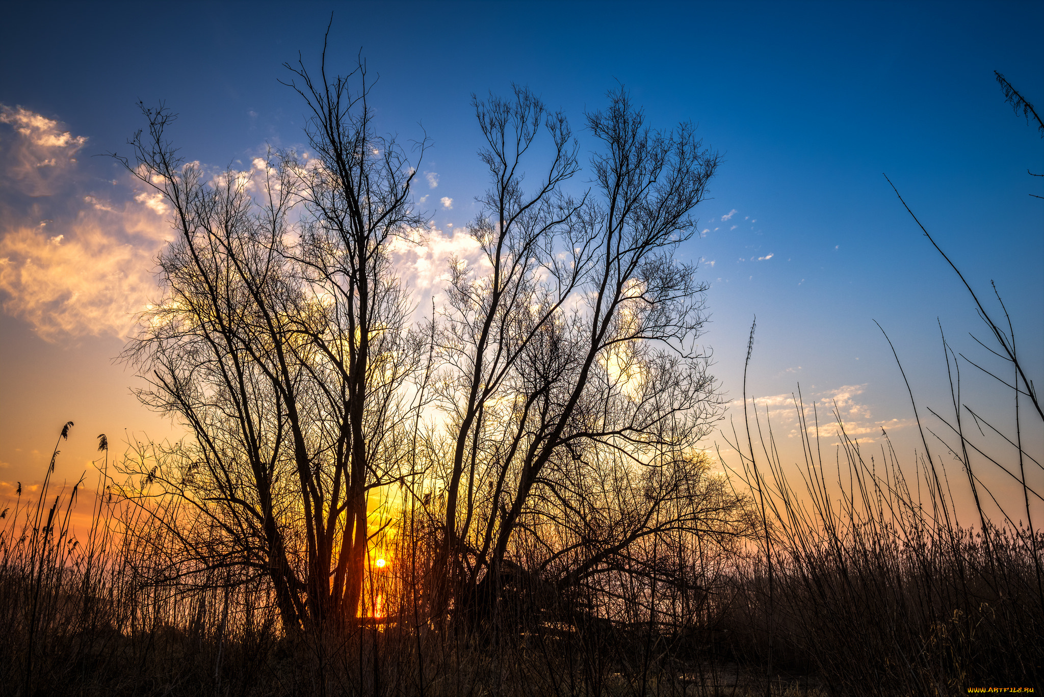 природа, восходы, закаты, простор