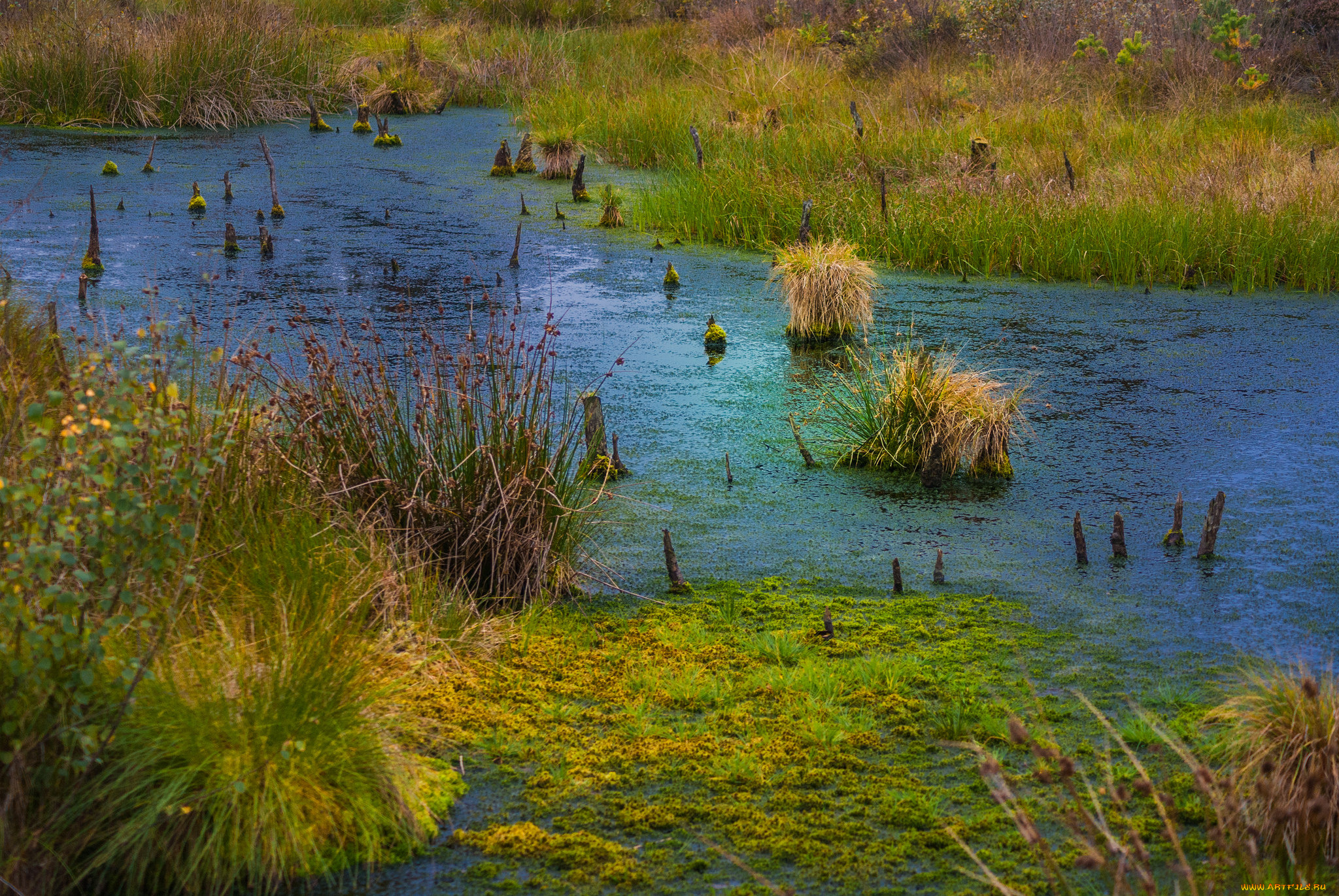 природа, реки, озера, простор