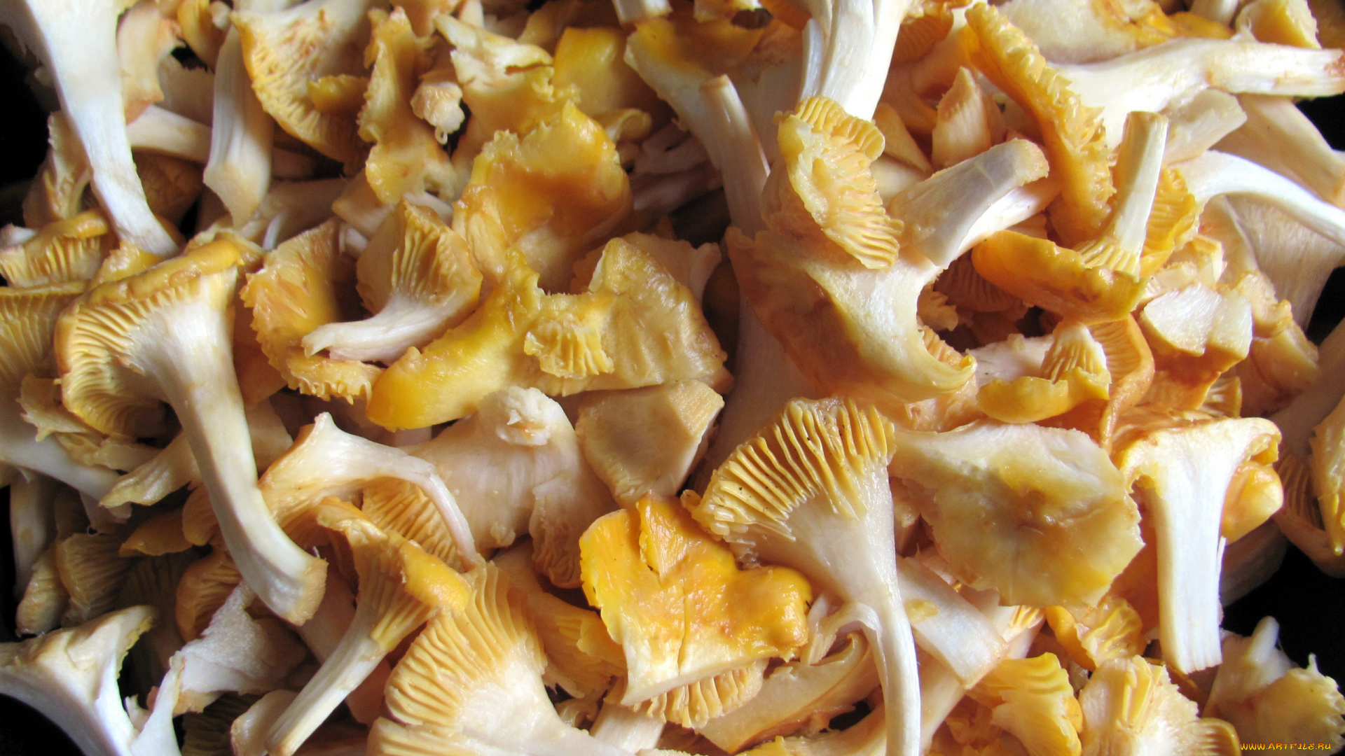 еда, грибы, , грибные, блюда, лисички