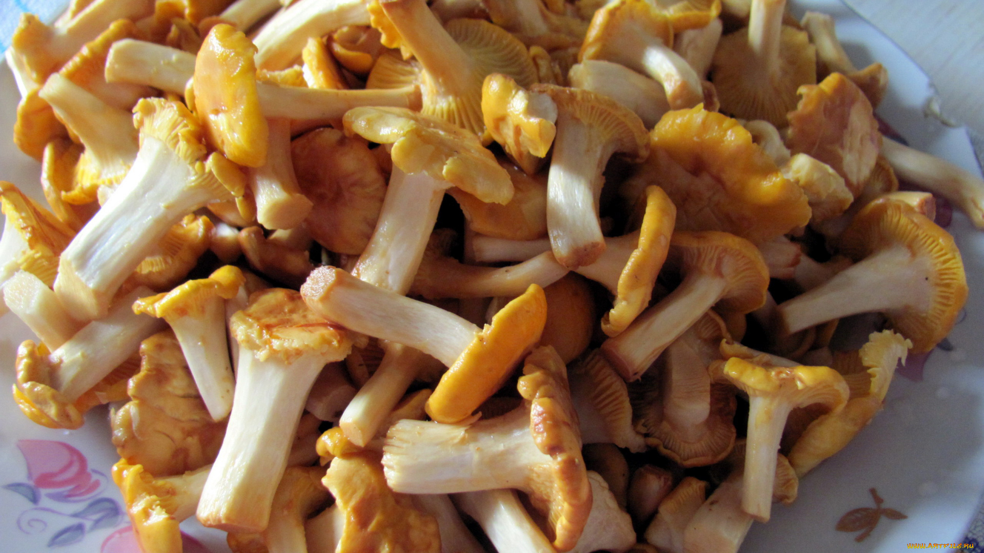 еда, грибы, , грибные, блюда, лисички