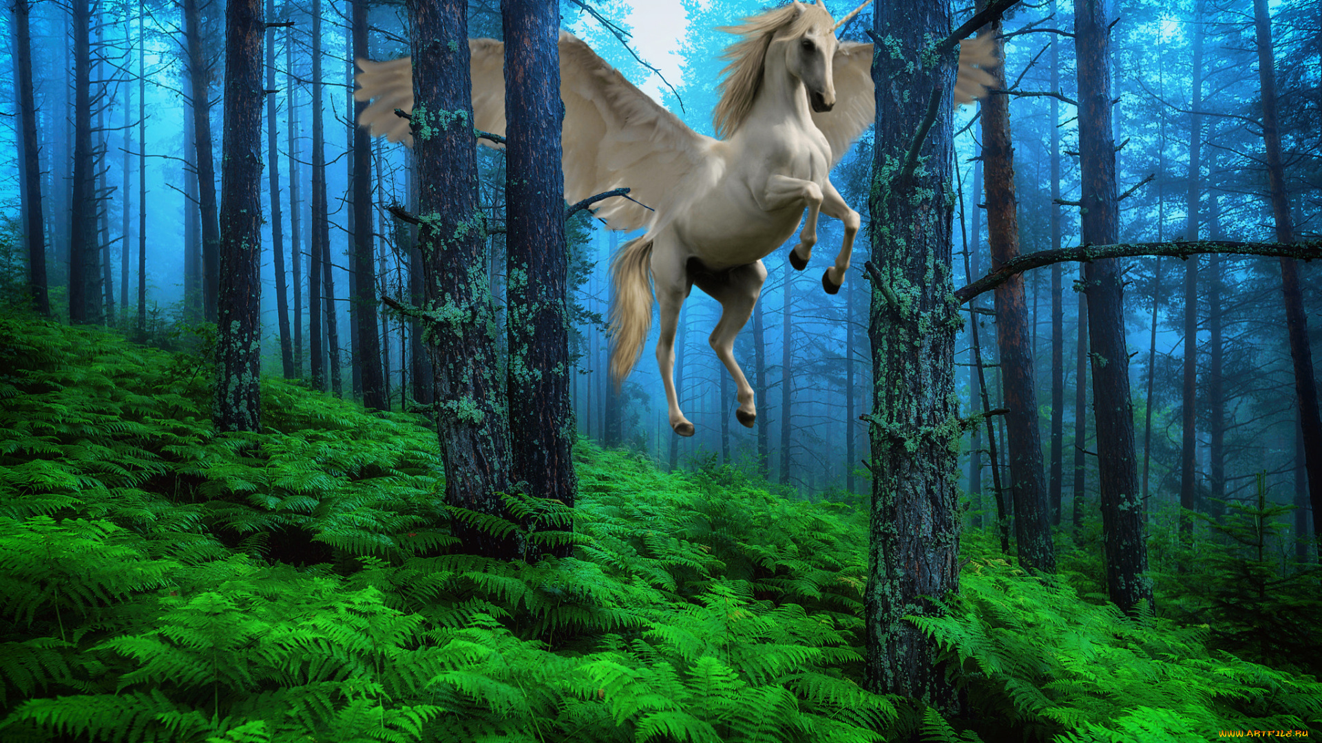 фэнтези, фотоарт, пегас, лошадь, конь, крылья, единорог, лес, деревья, полёт