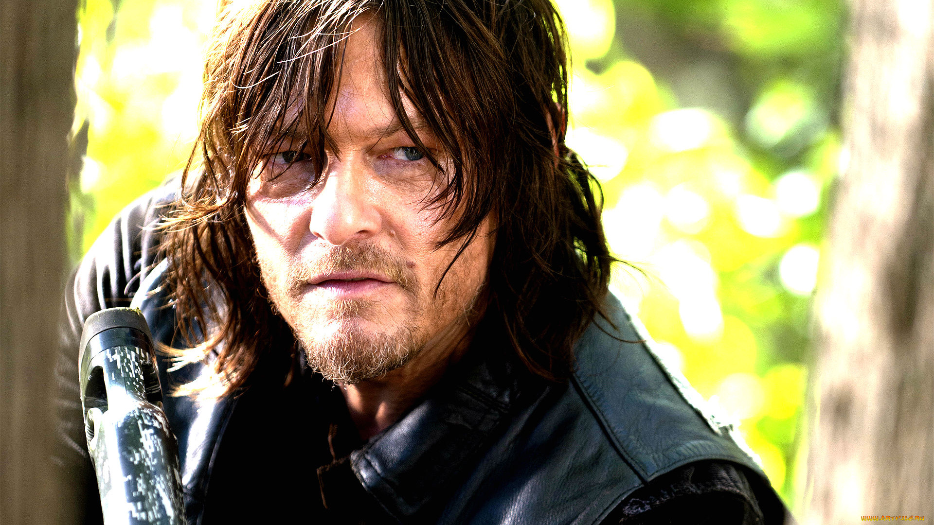 кино, фильмы, the, walking, dead, norman, reedus