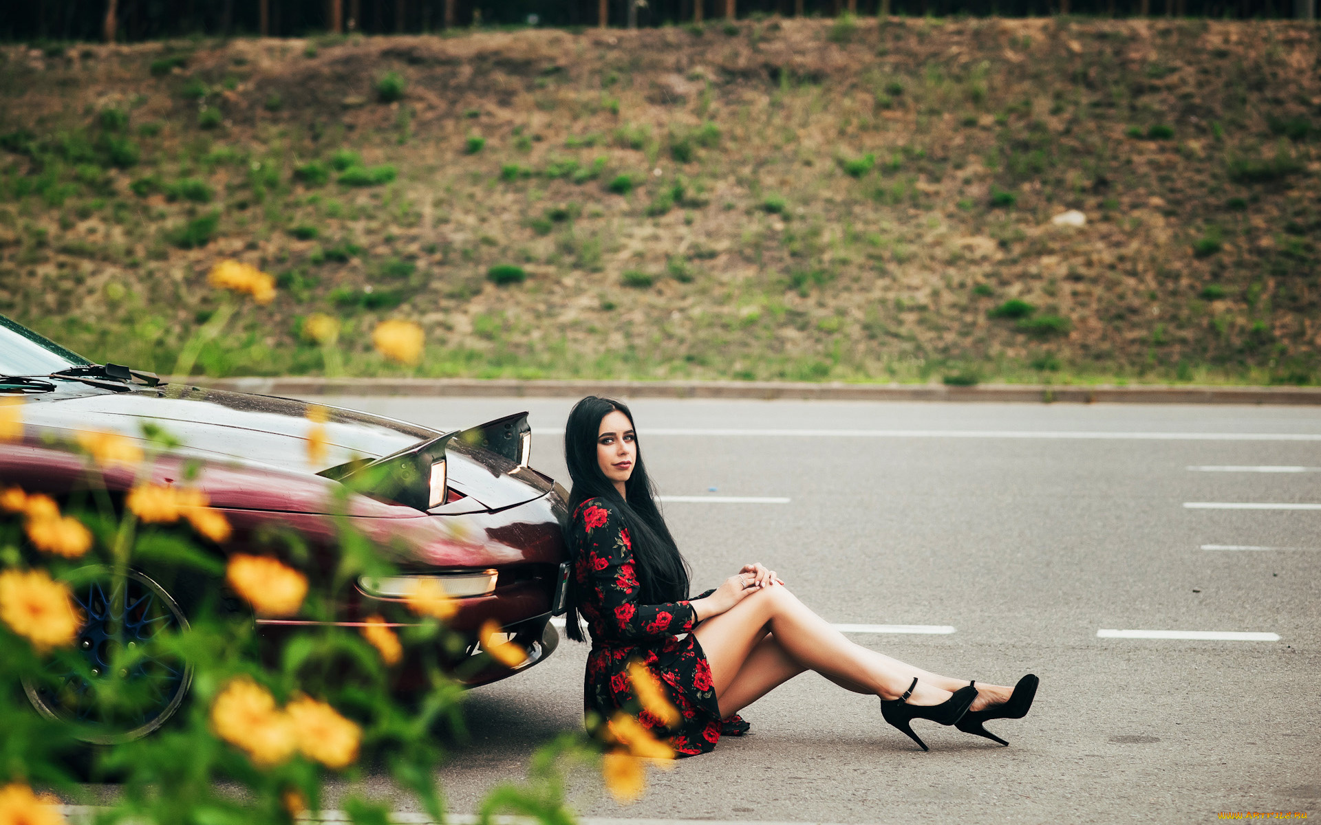 автомобили, -авто, с, девушками, ford, probe