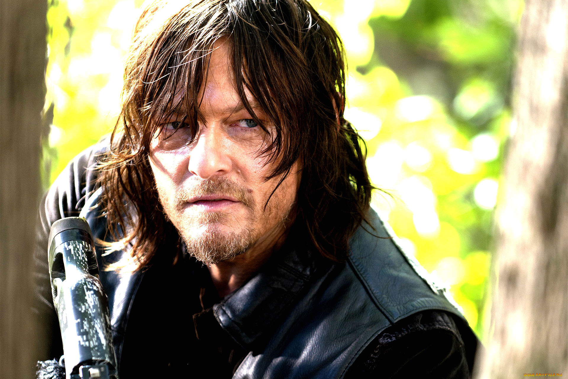 кино, фильмы, the, walking, dead, norman, reedus
