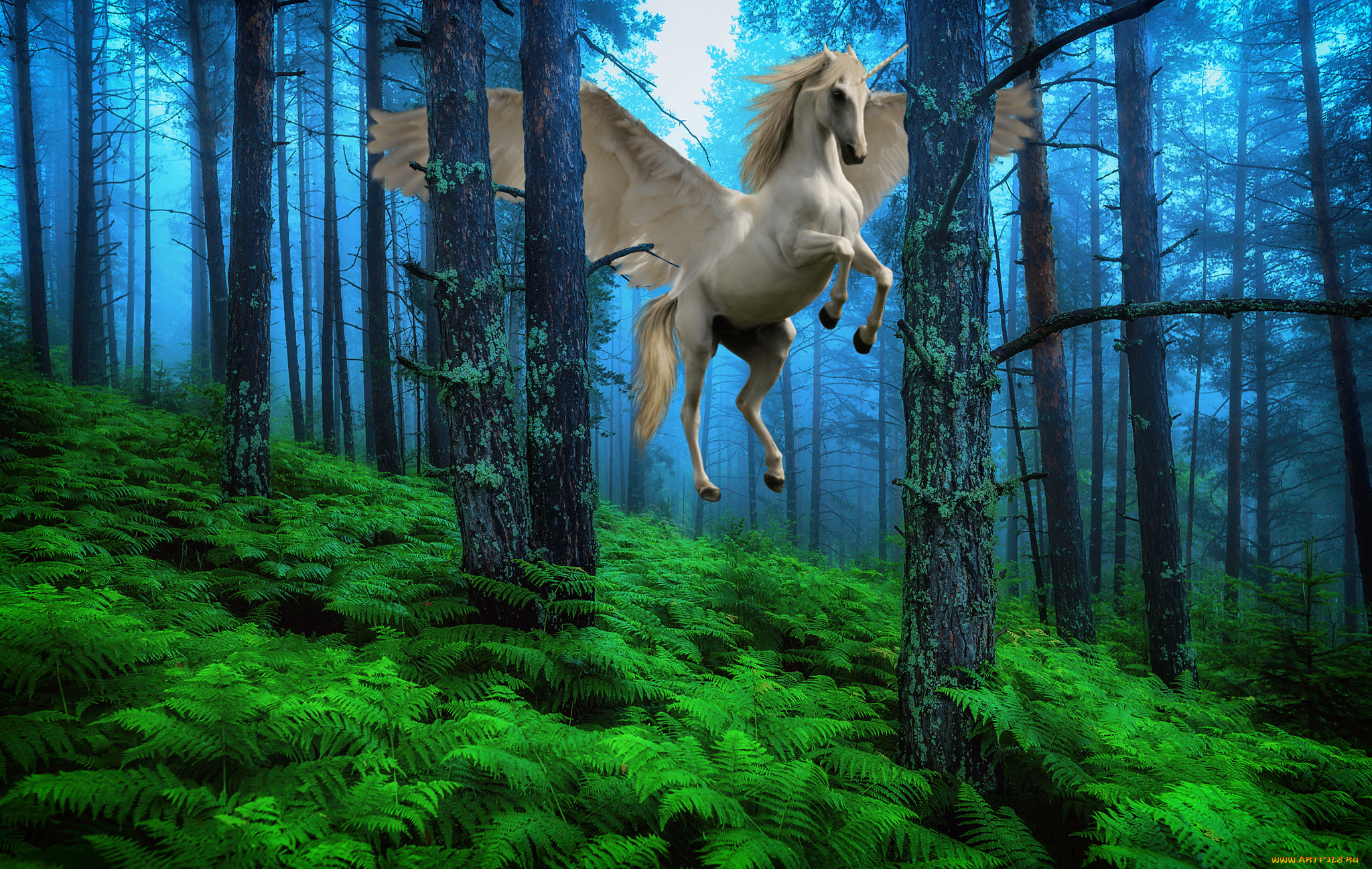 фэнтези, фотоарт, пегас, лошадь, конь, крылья, единорог, лес, деревья, полёт