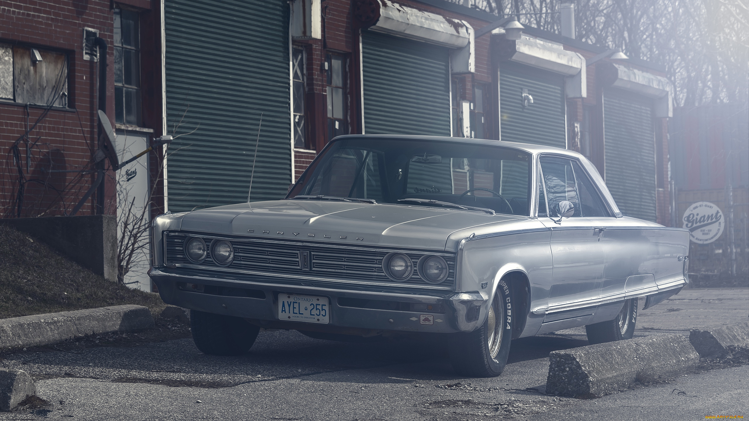 автомобили, chrysler, 1966, newport