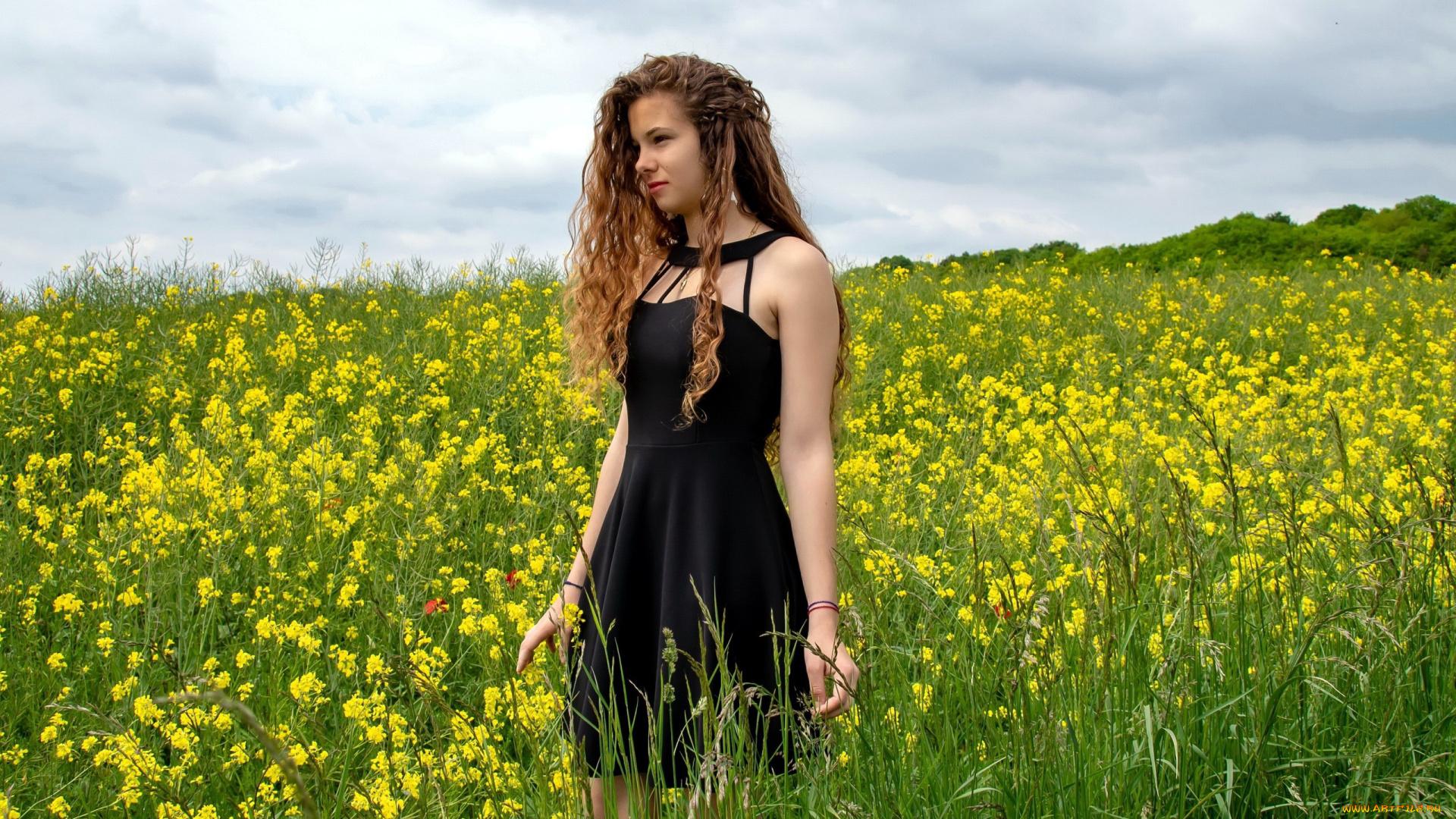 девушки, -, брюнетки, , шатенки, лето, поле, шатенка, локоны, рапс