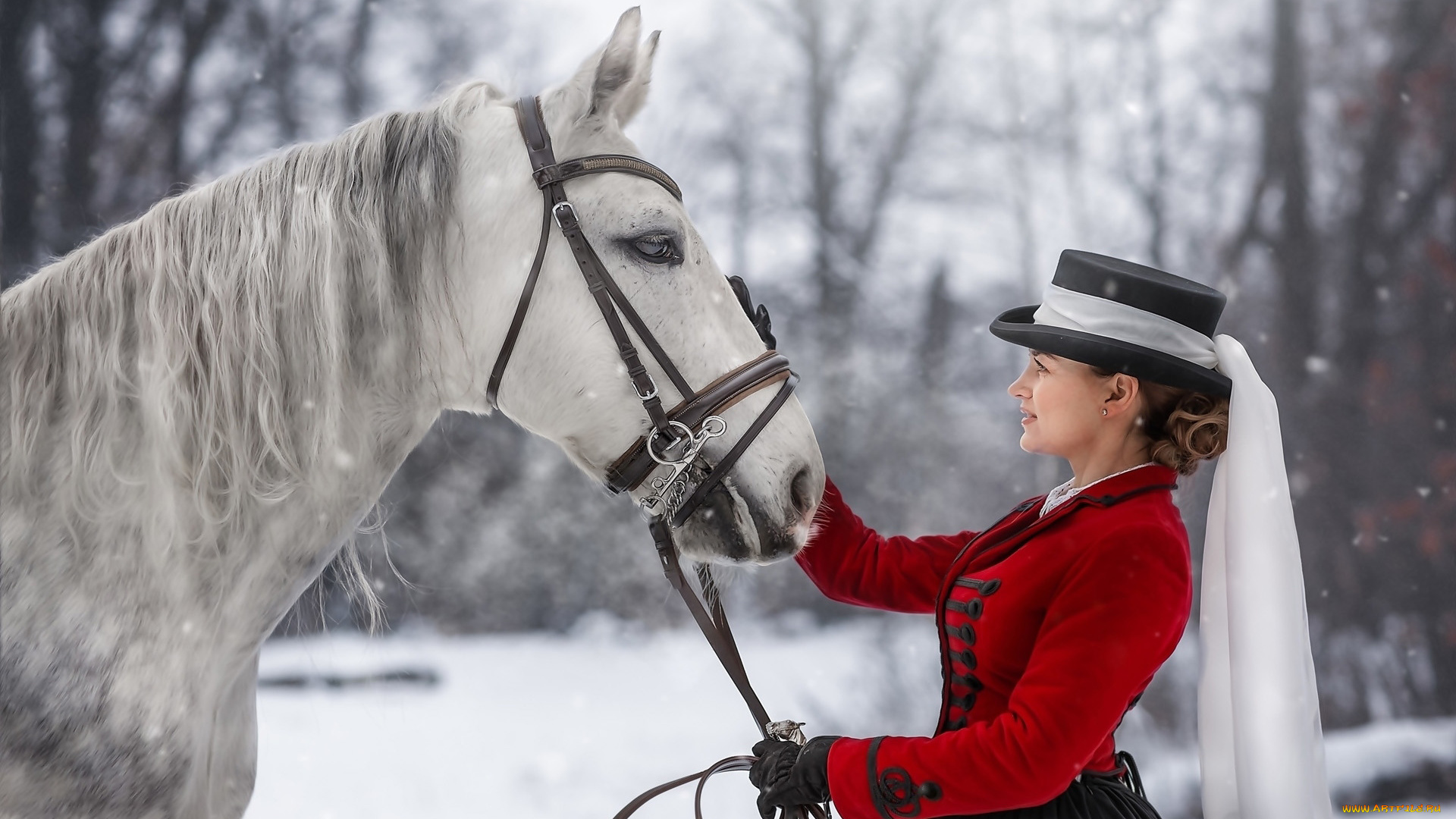 девушки, -, брюнетки, , шатенки, наездница, шатенка, лошадь, шляпа
