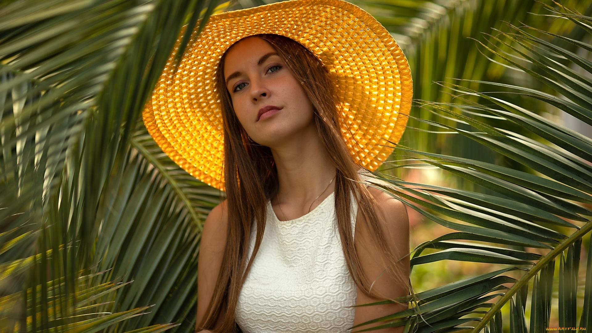 девушки, -, брюнетки, , шатенки, шатенка, шляпа, ирина, харитонова