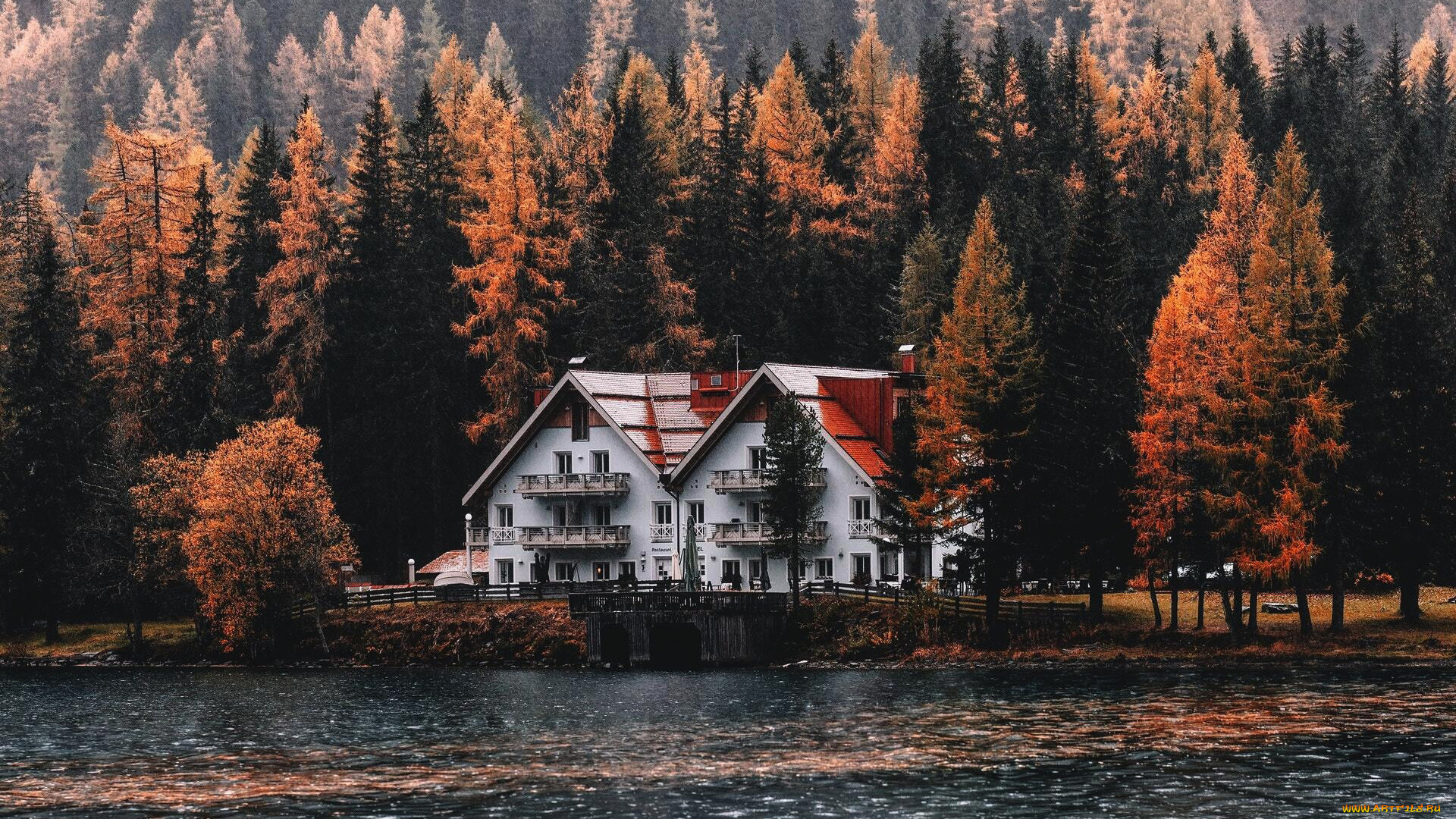 города, -, здания, , дома, дом, сосны, озеро, осень